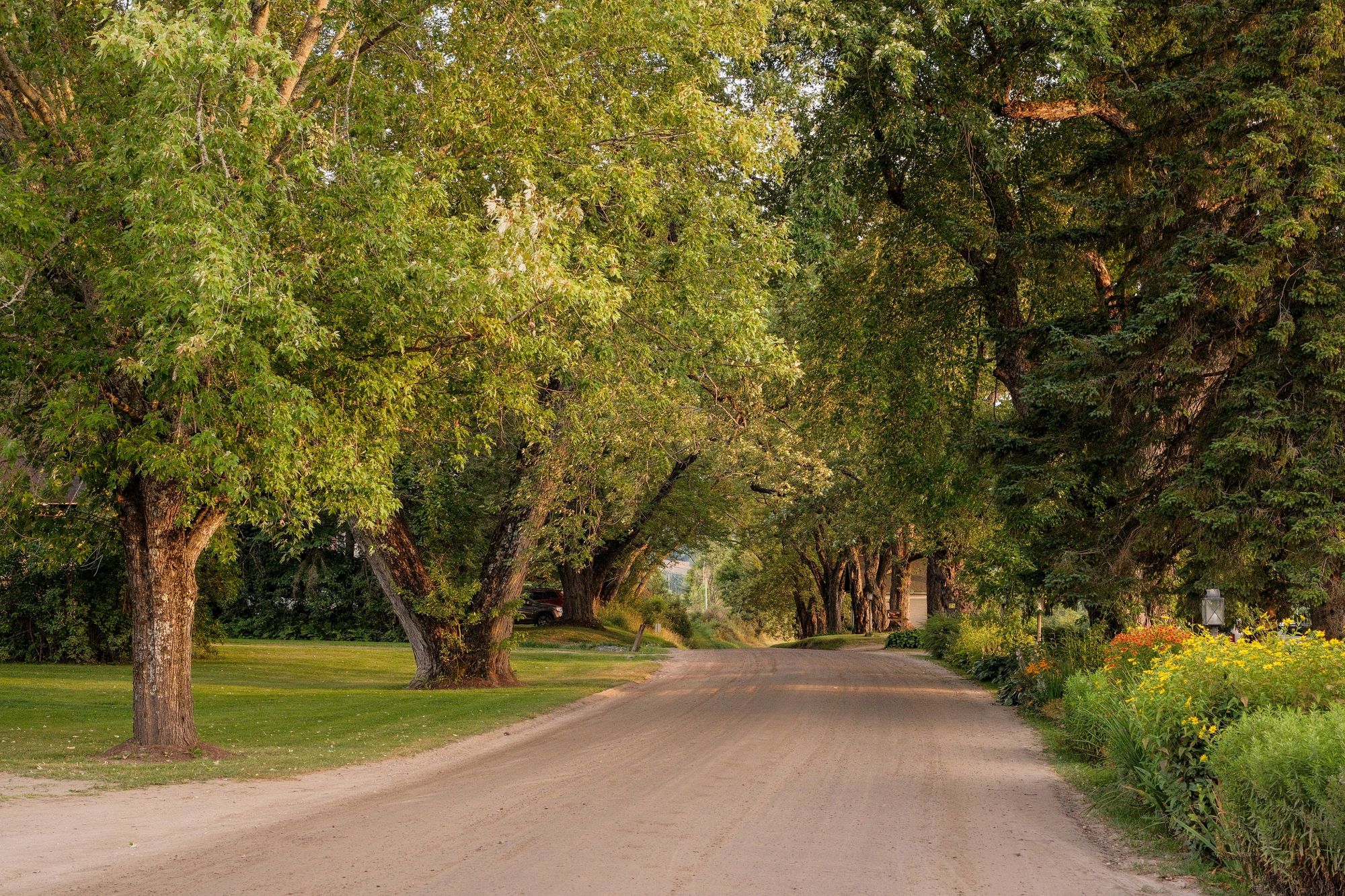 Darling Hill Road, Burke 02