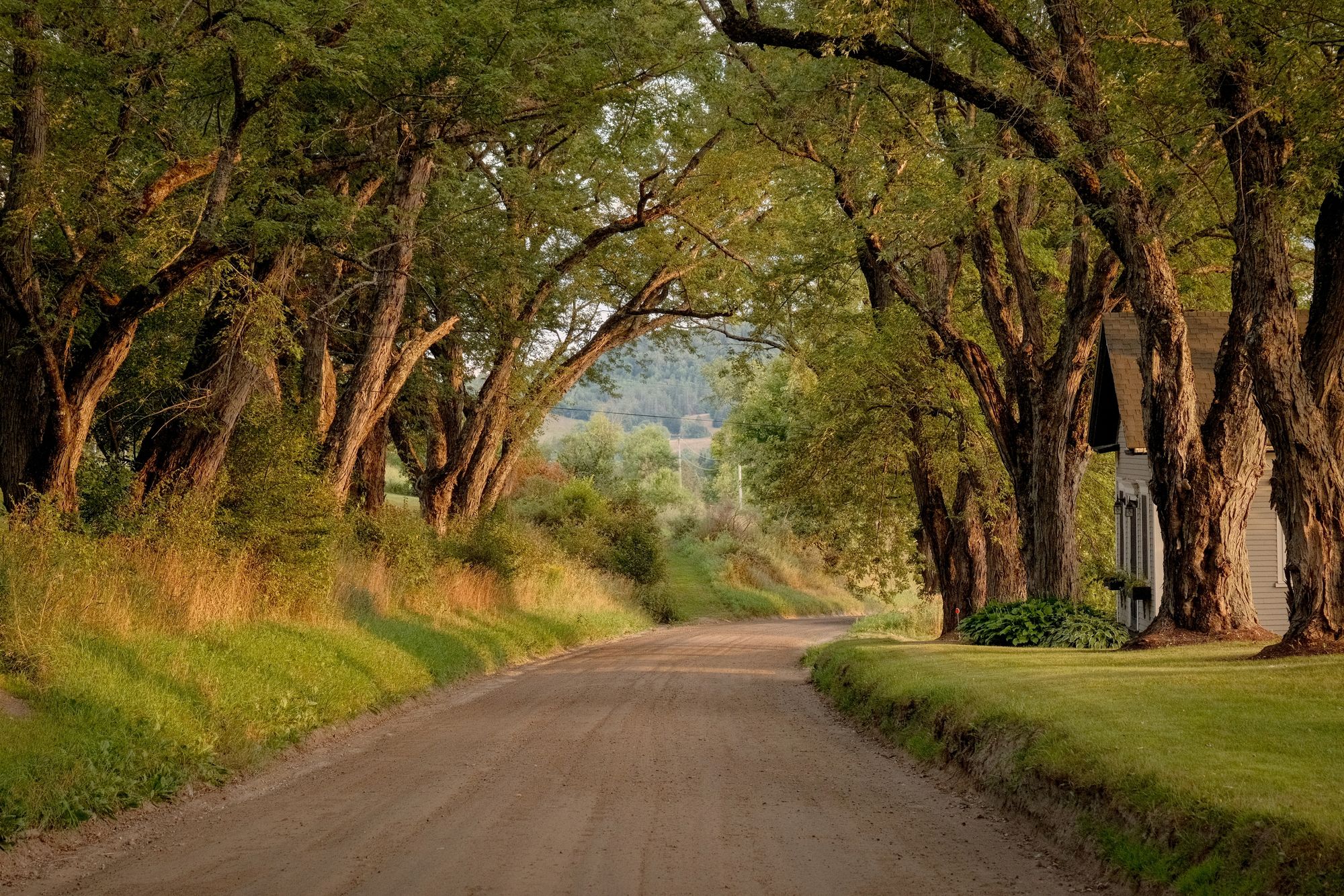 Darling Hill Road, Burke 01