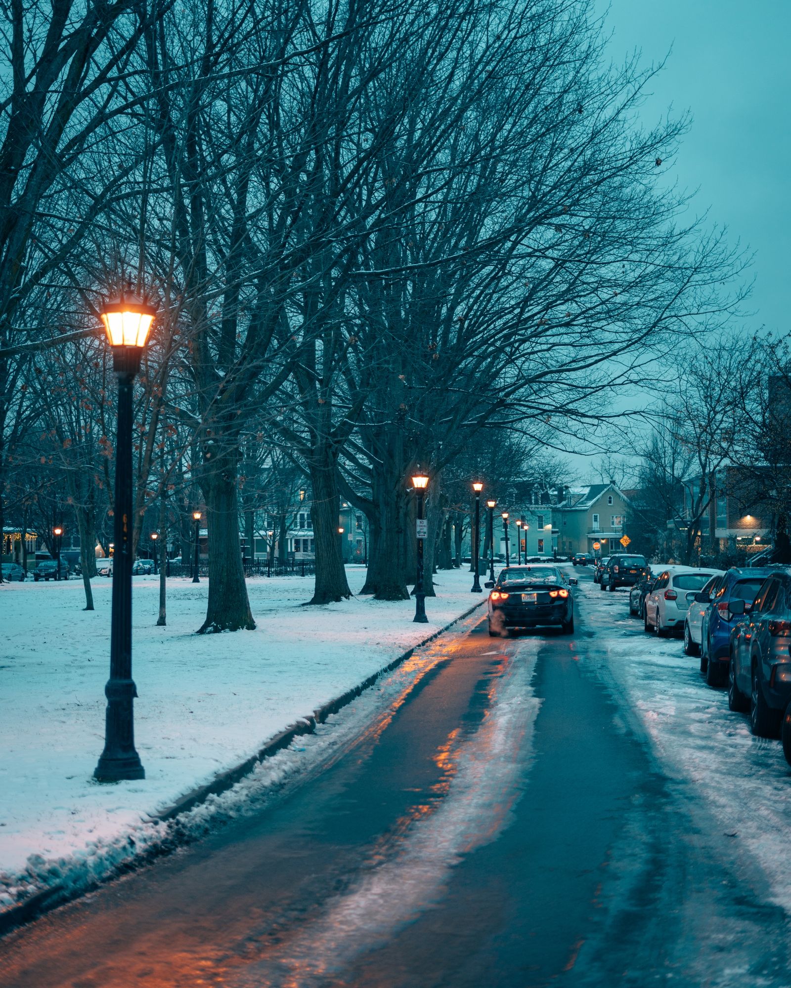 Days Park, Buffalo 01