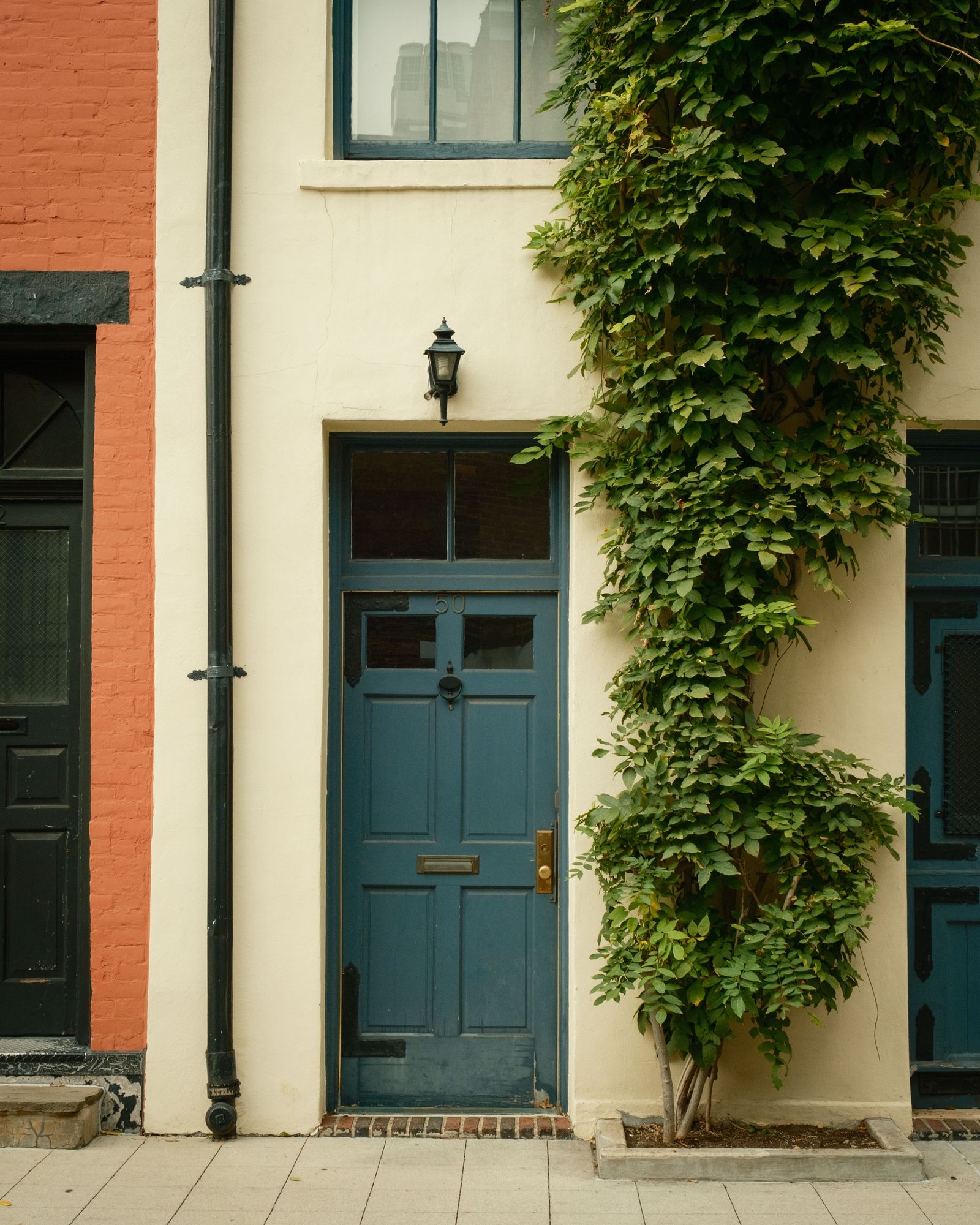 Door on Washington Mews, Manhattan 01