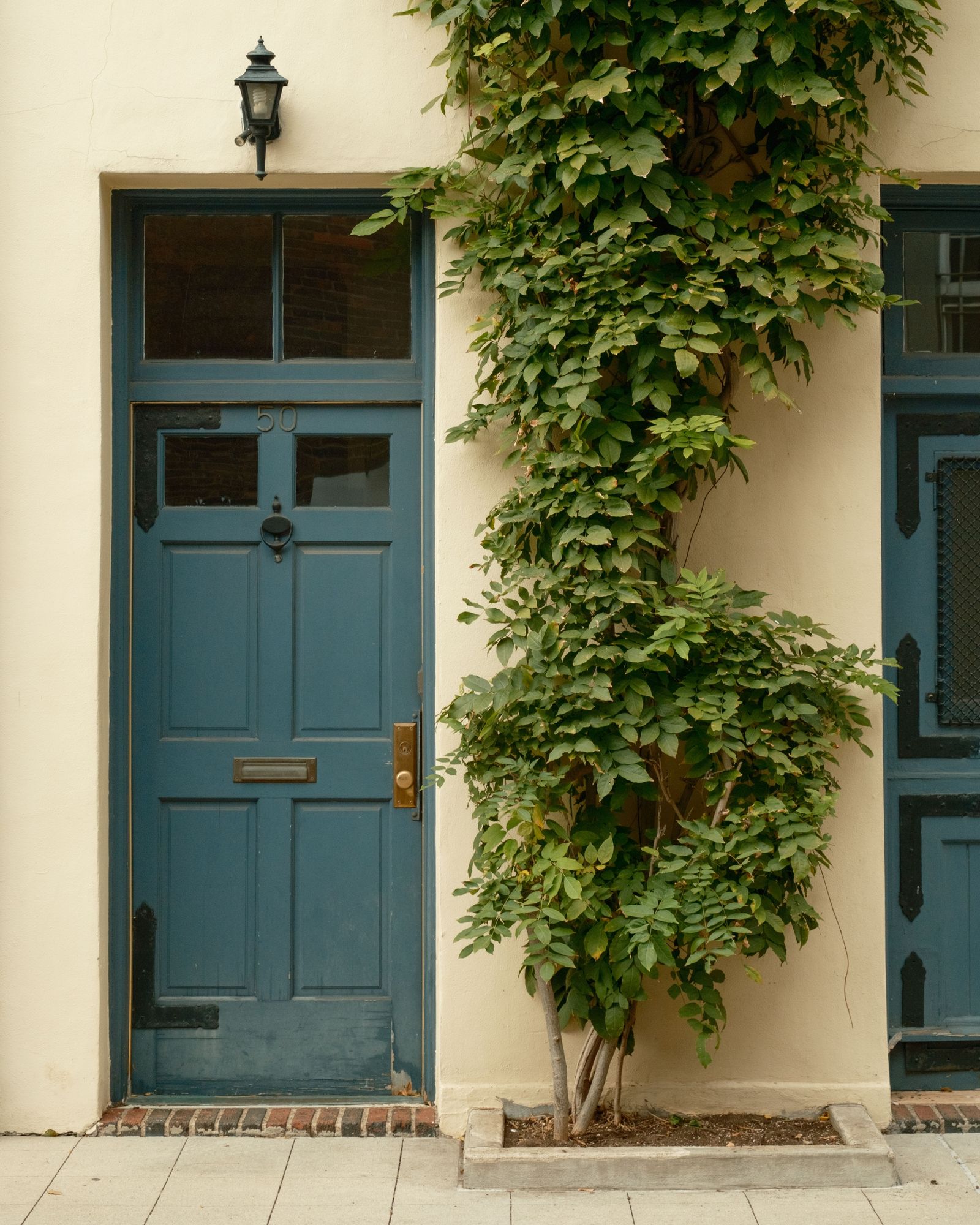 Door on Washington Mews, Manhattan 02