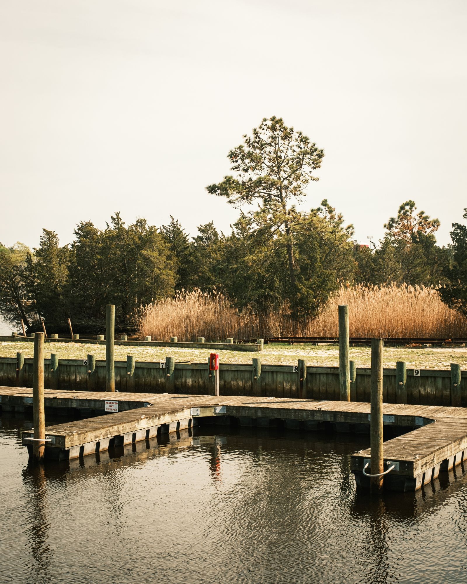 Docks in Tuckerton