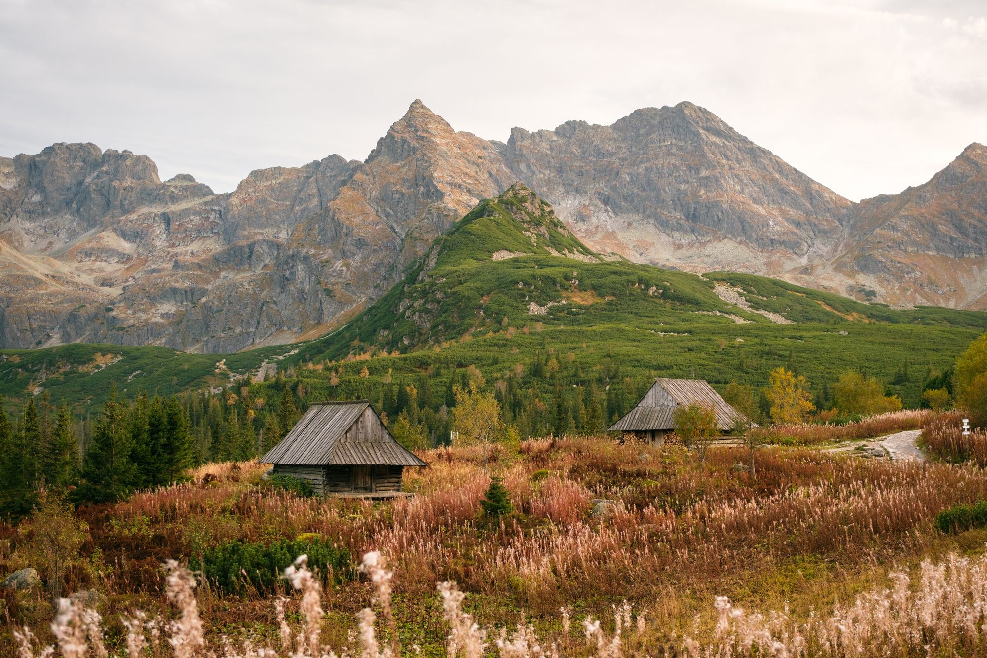 Dolina Gąsienicowa, Zakopane 04