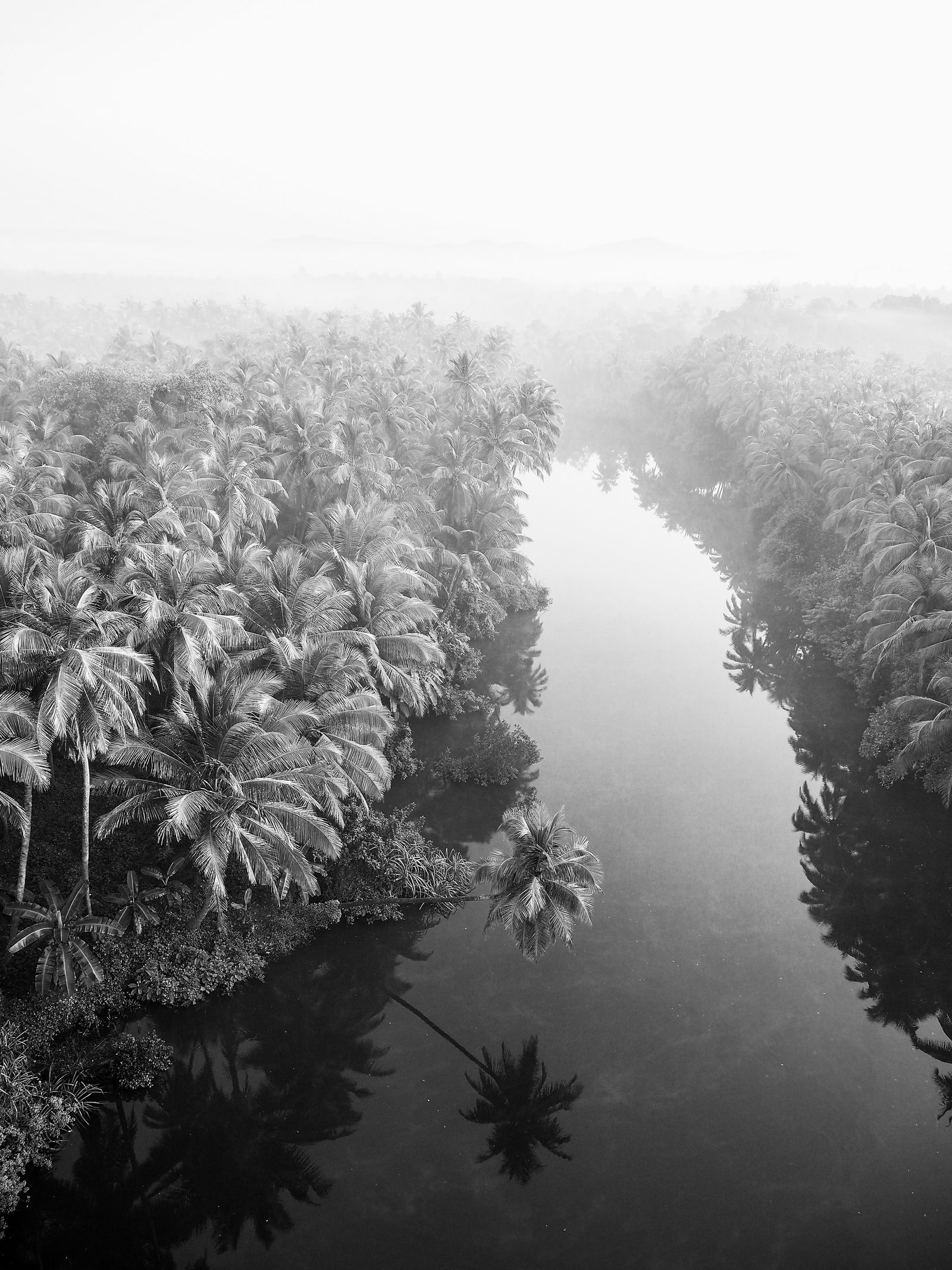 Down in Goa