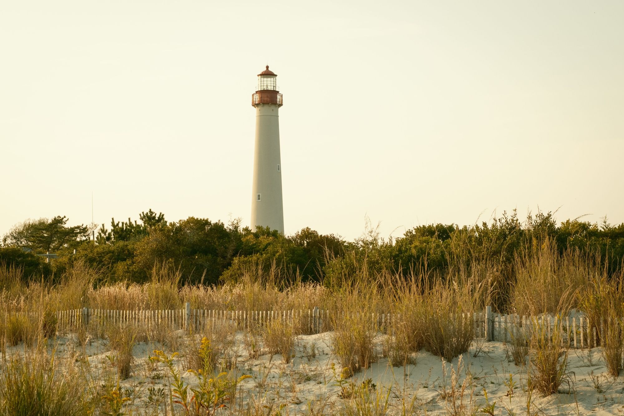 Dunes & Cape May Lighthouse 04