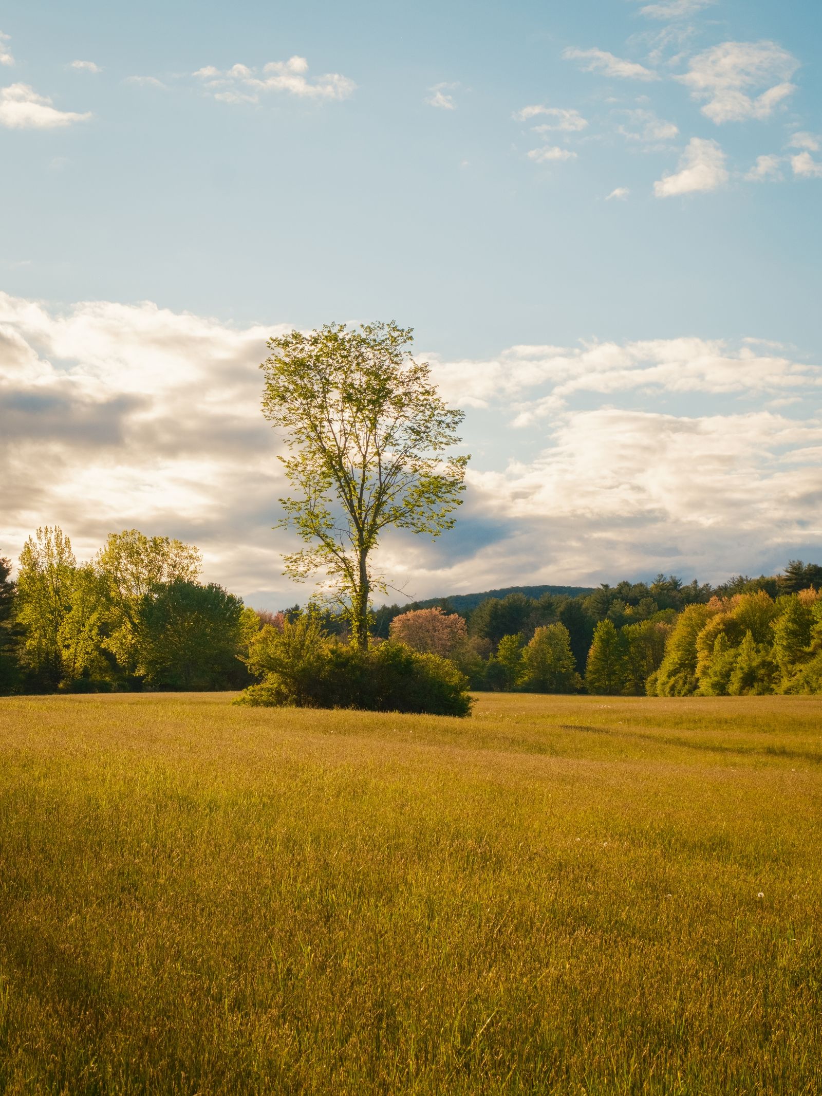 Easthampton Rural 03