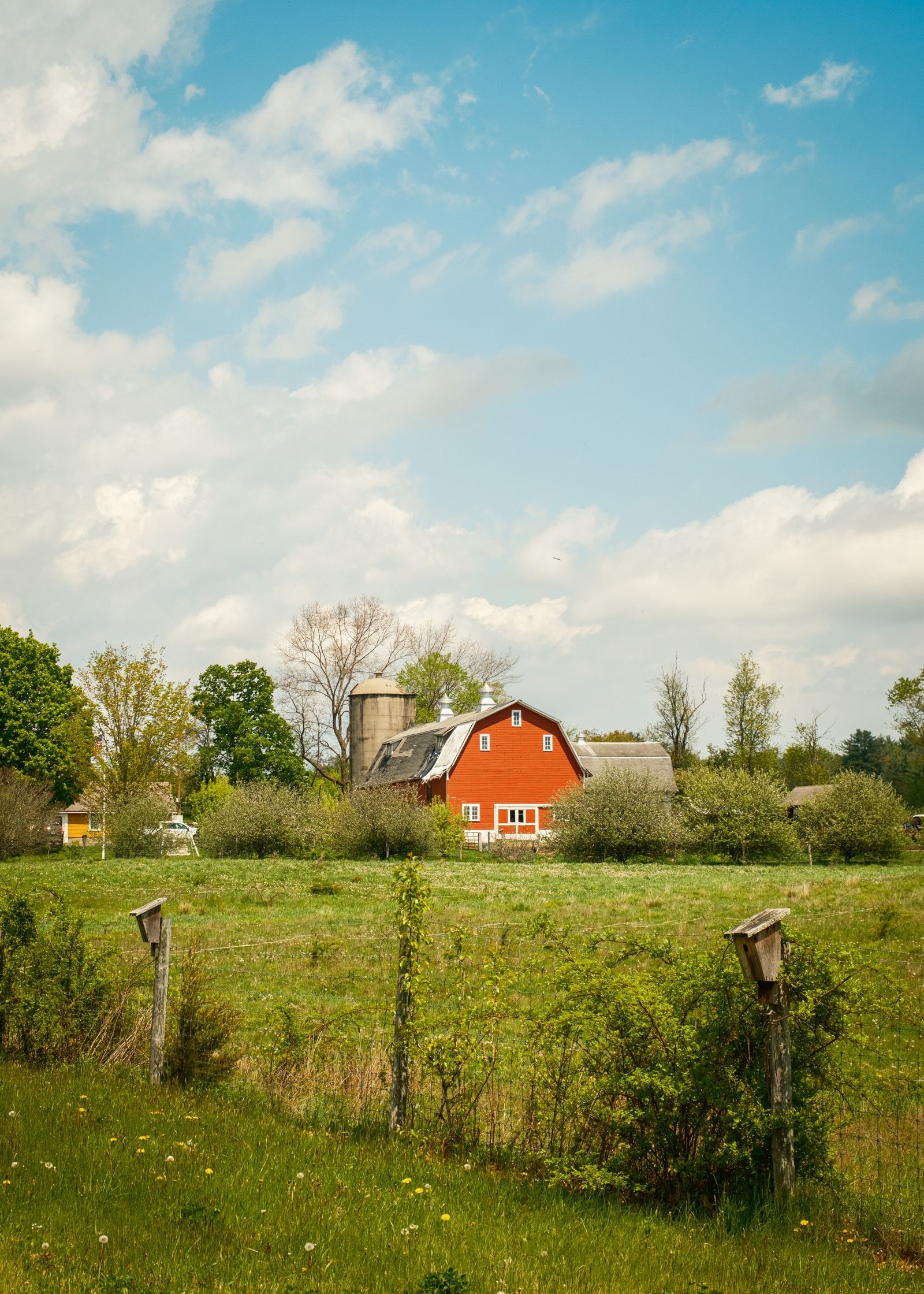 Easthampton Rural 01