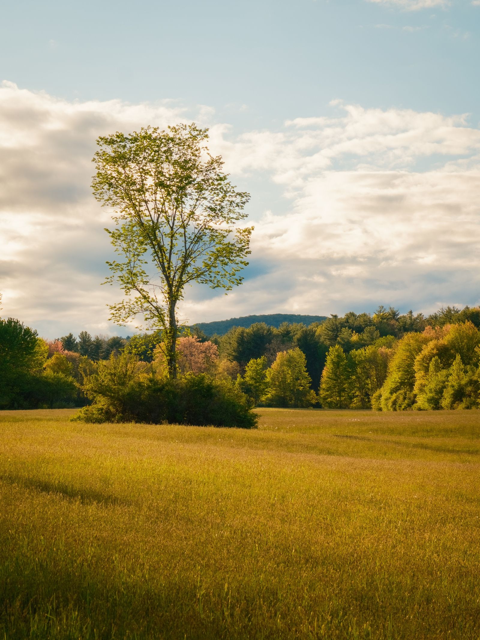 Easthampton Rural 04