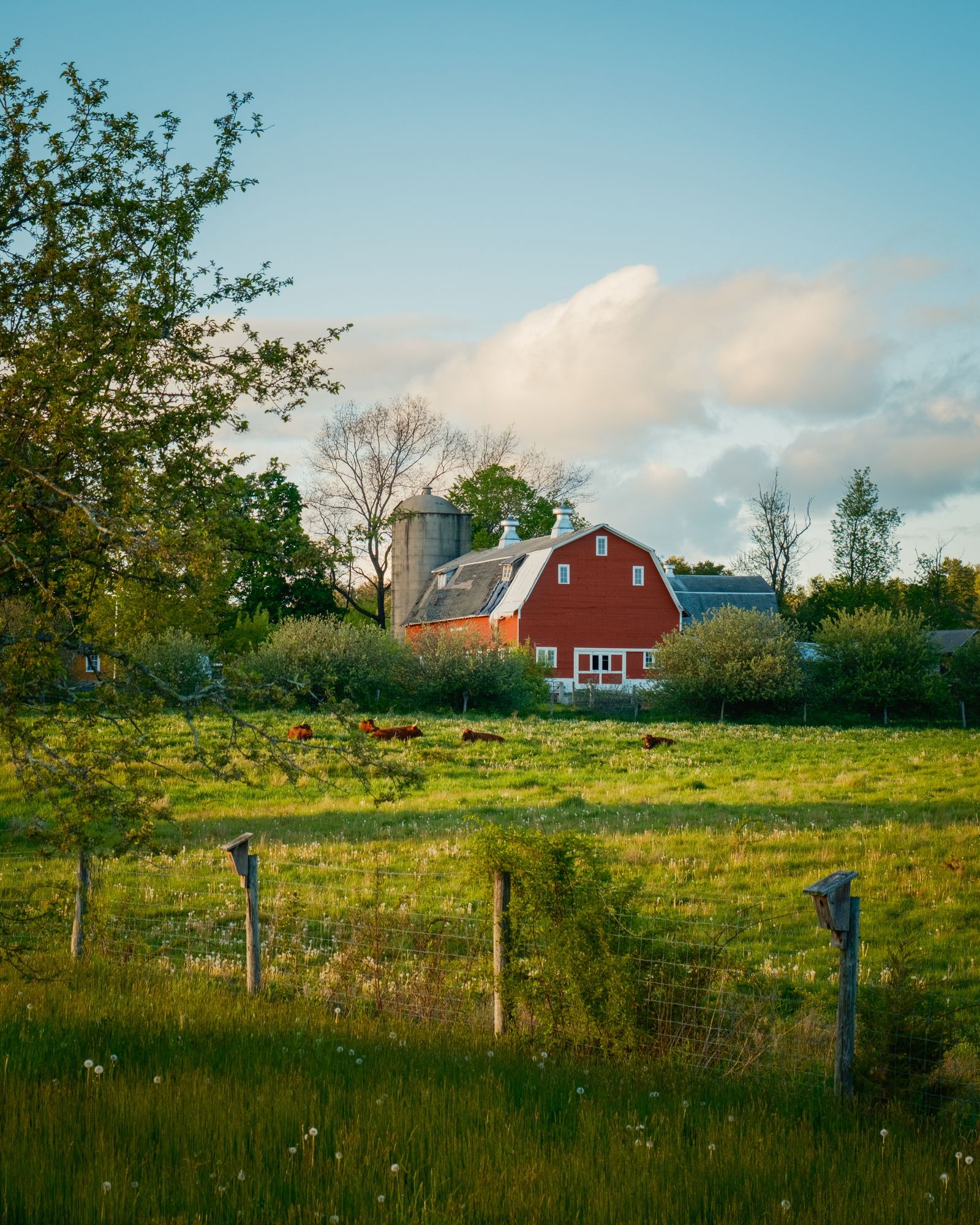 Easthampton Rural 05