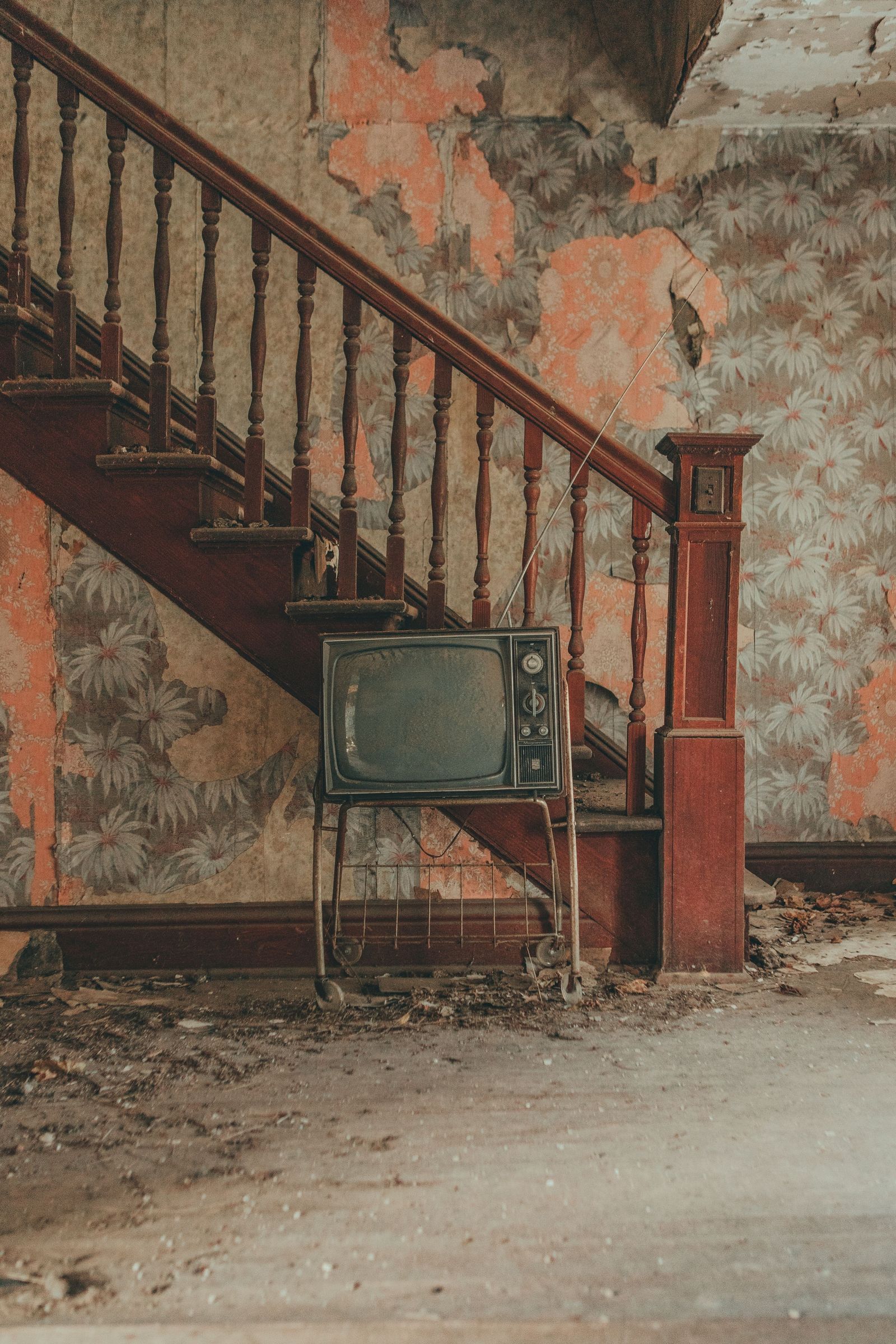 Elmwood House Interior 02