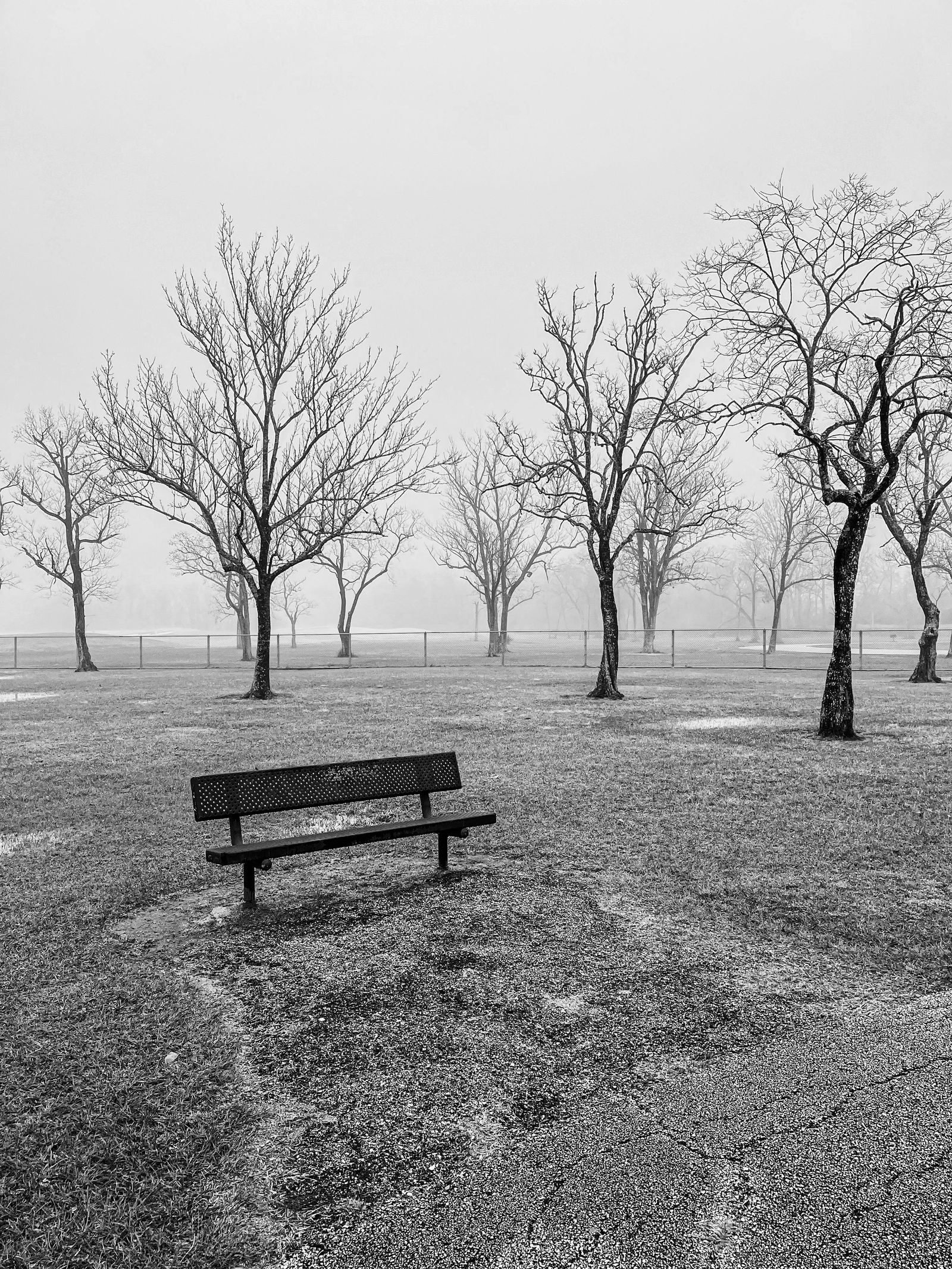 Empty Bench at Tom Bass Park