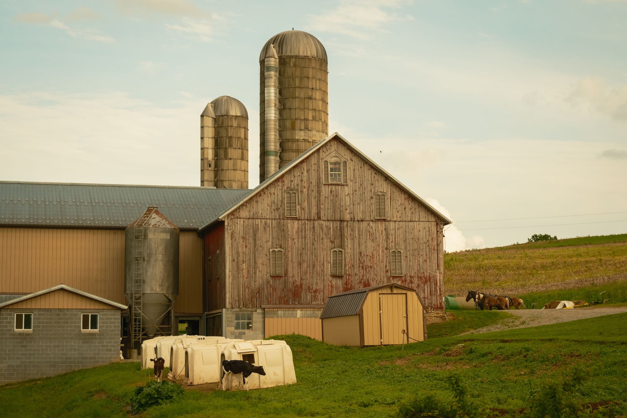 Farm in Glen Rock 02