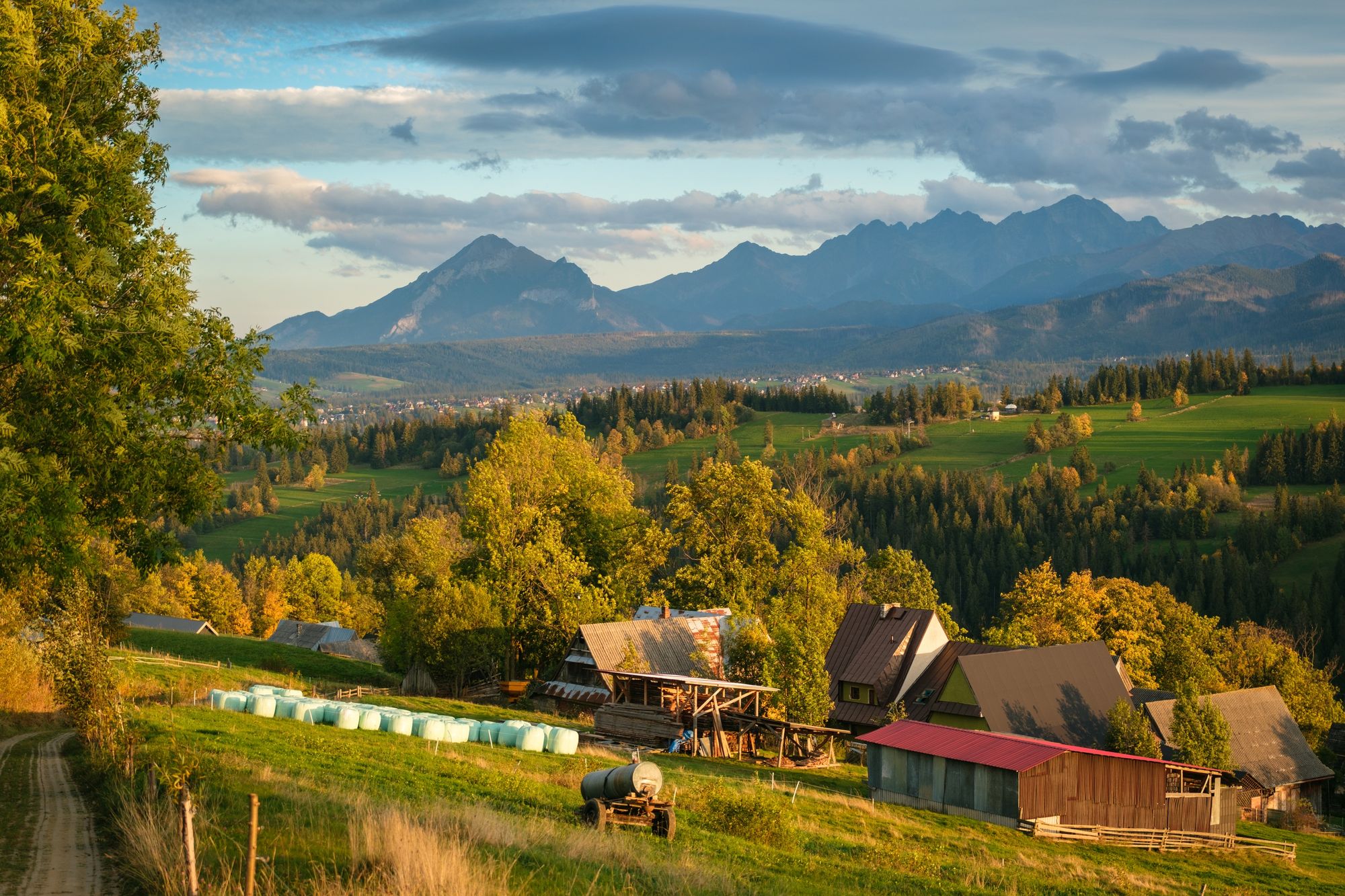 Farm in Suche