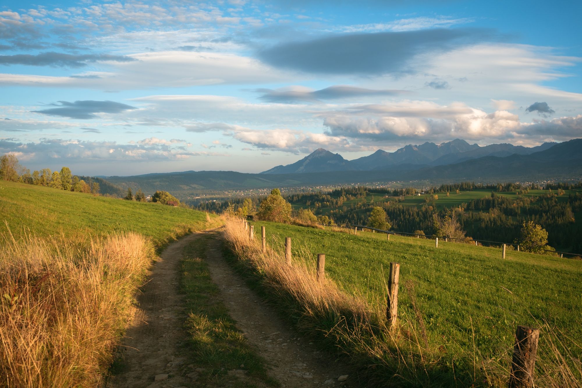 Farm Road, Ząb 02