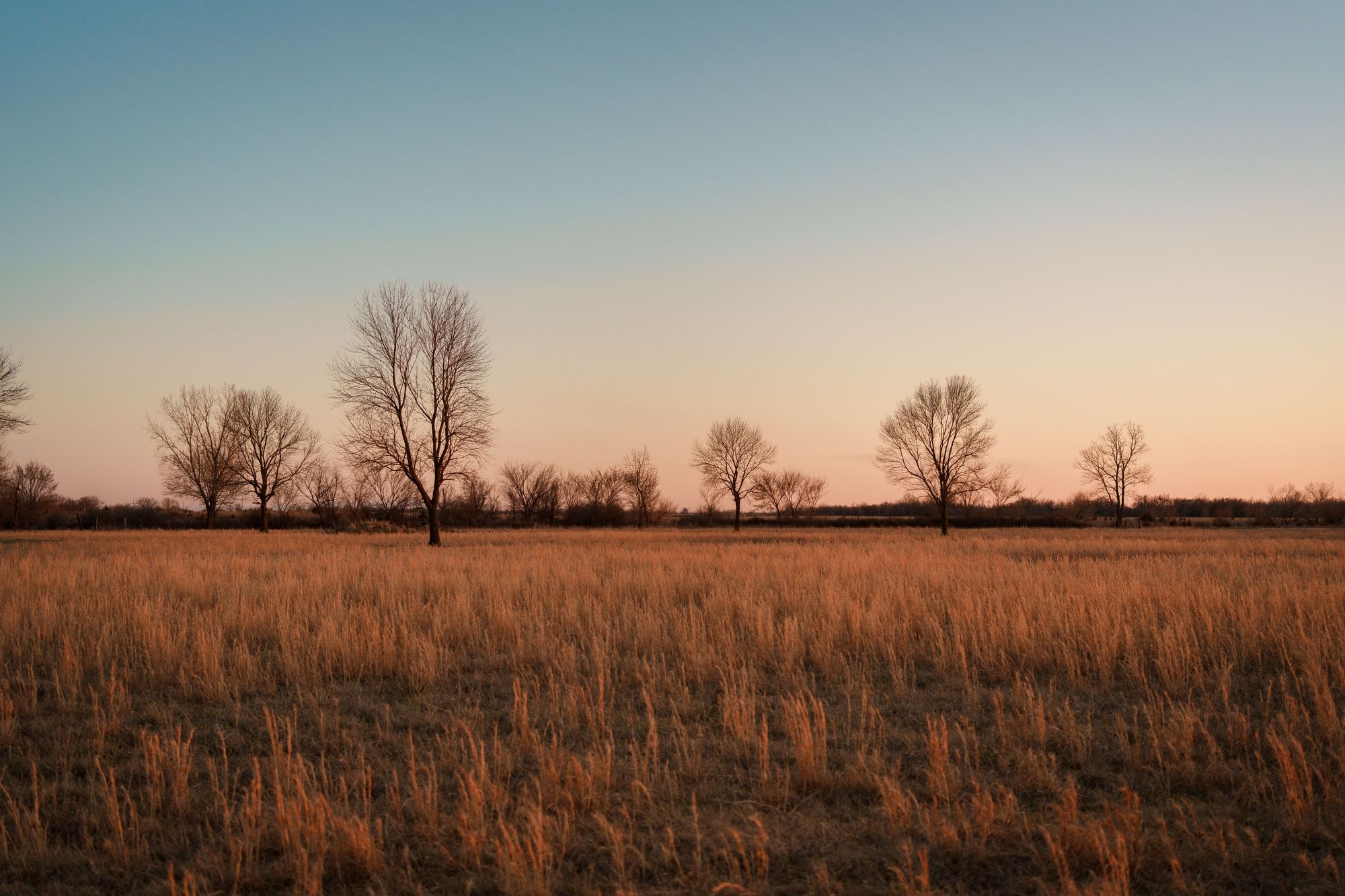 Fields at Sunset, Commerce