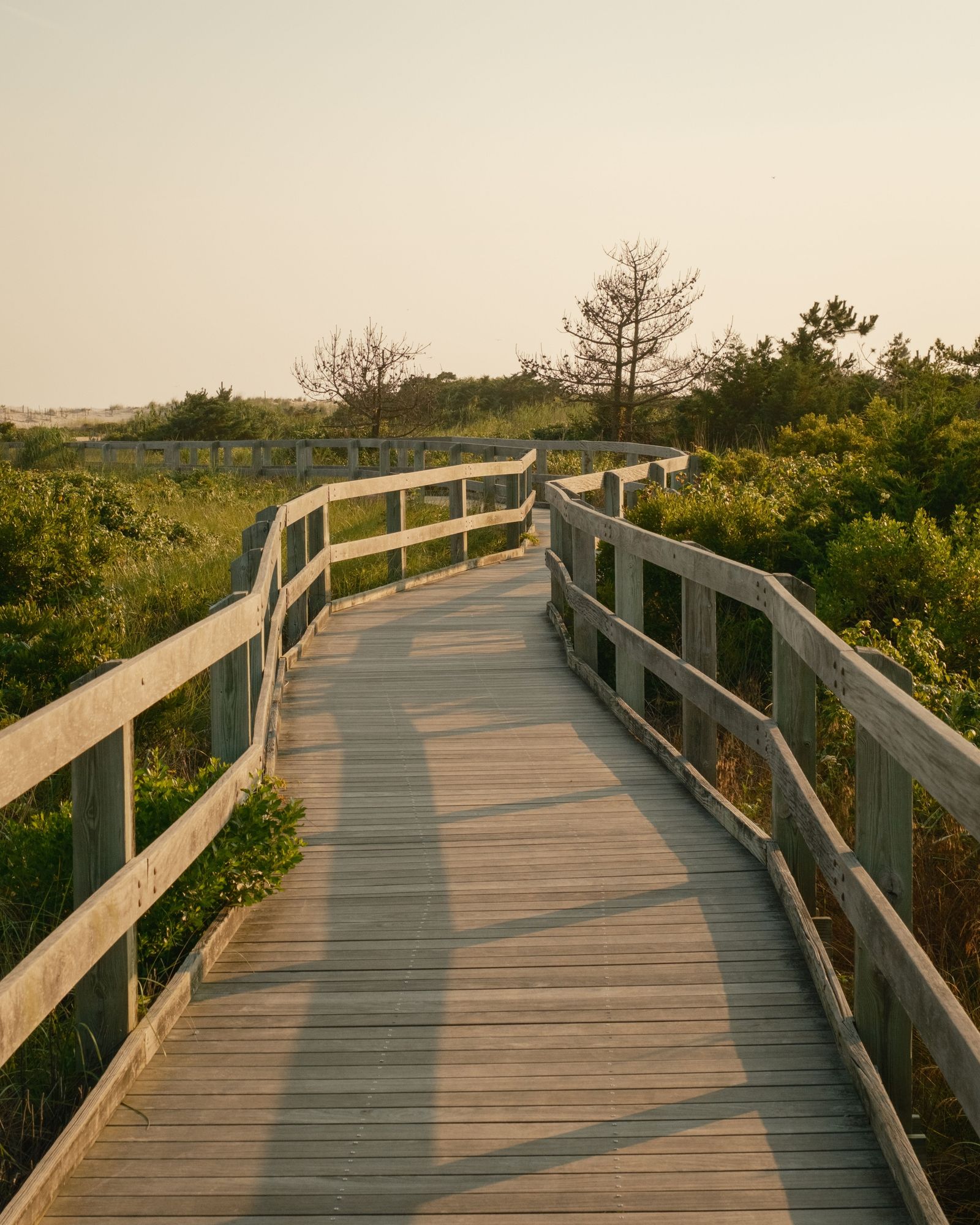 Fire Island Boardwalk 04
