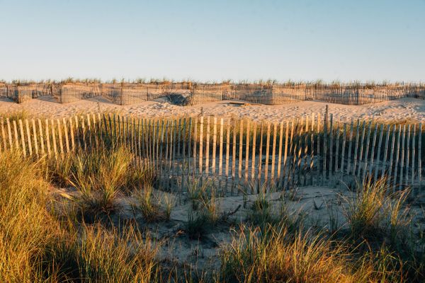 Sand Dunes