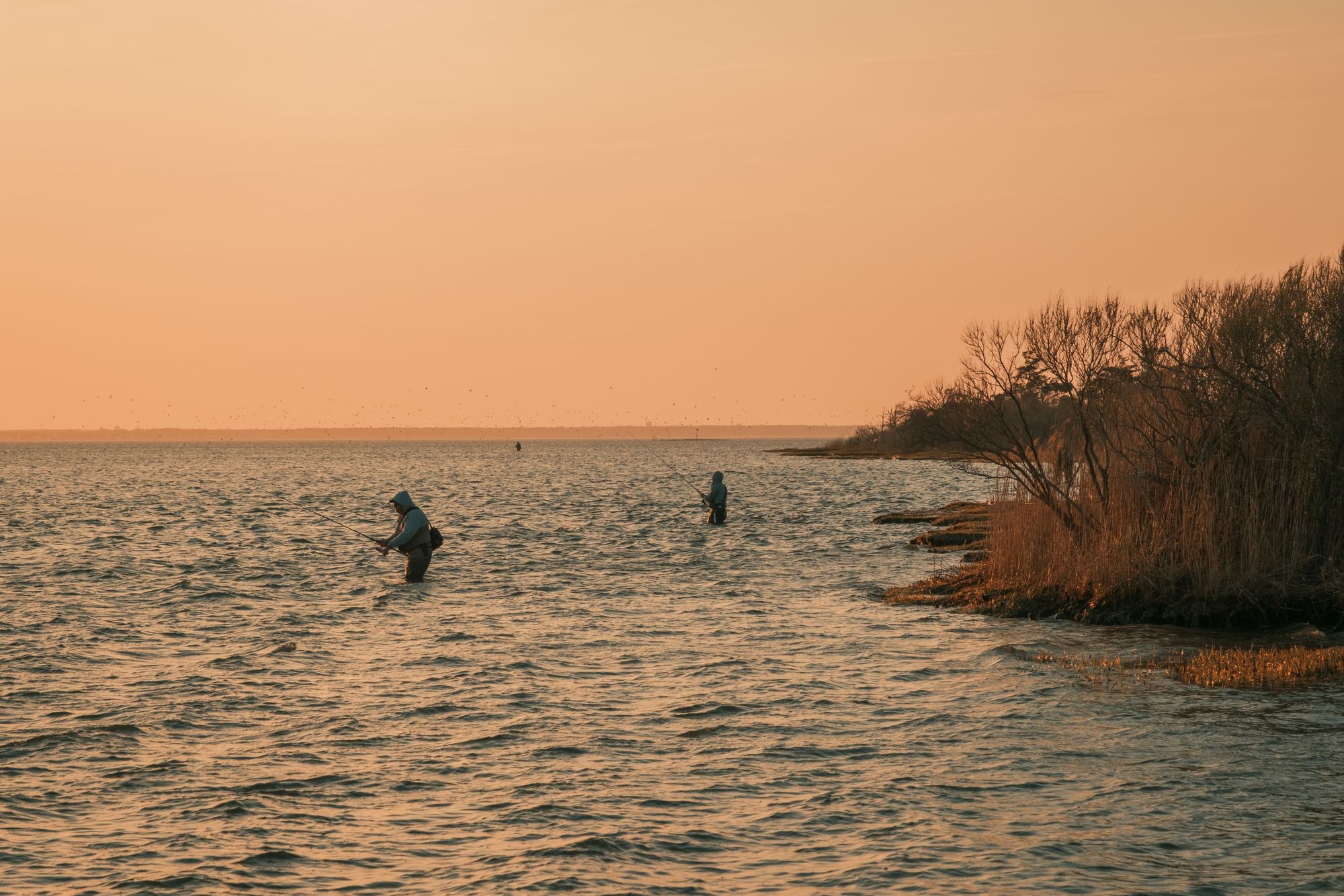 Fishing at Island Beach