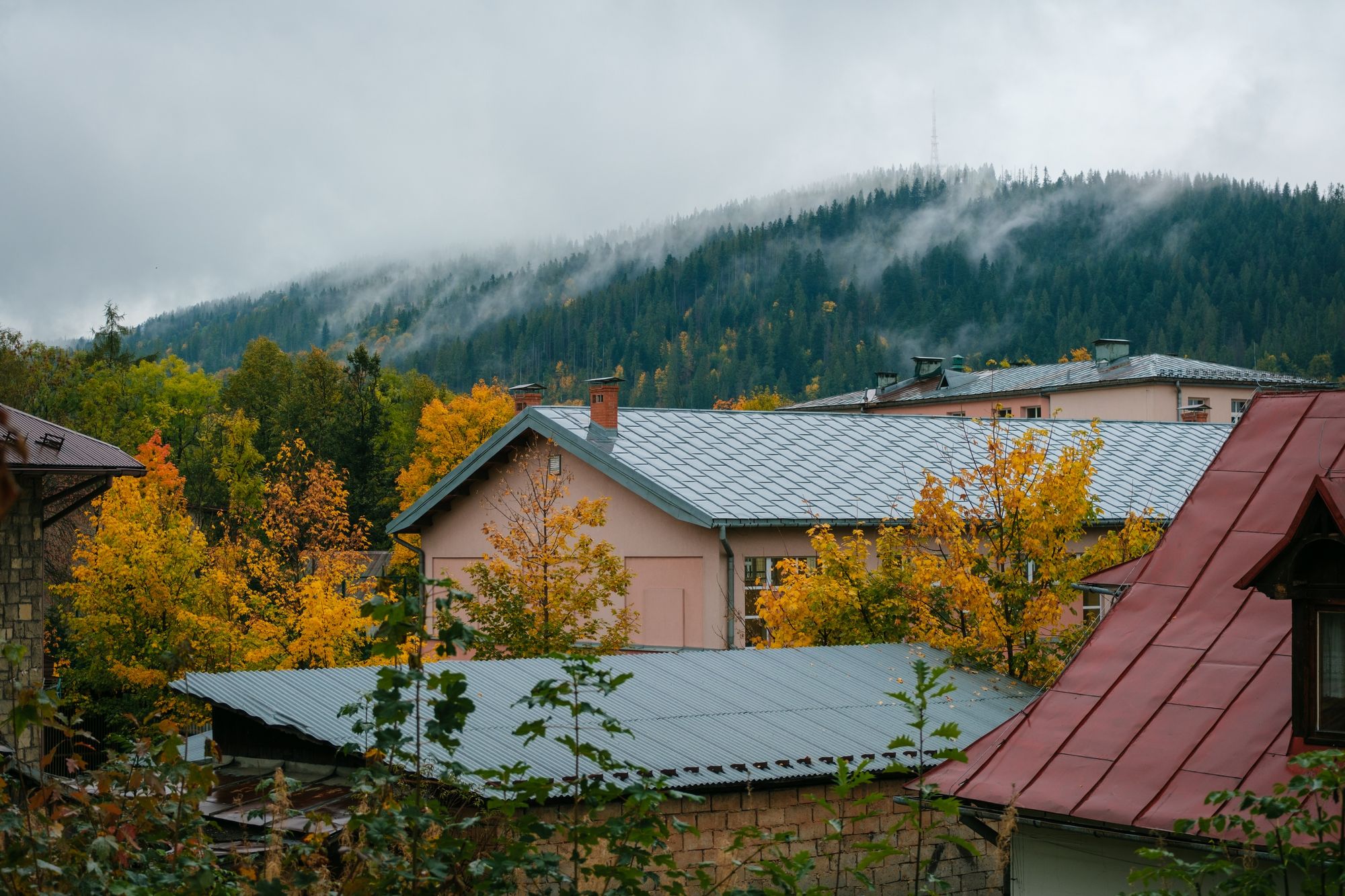 Foggy Autumn Morning, Zakopane