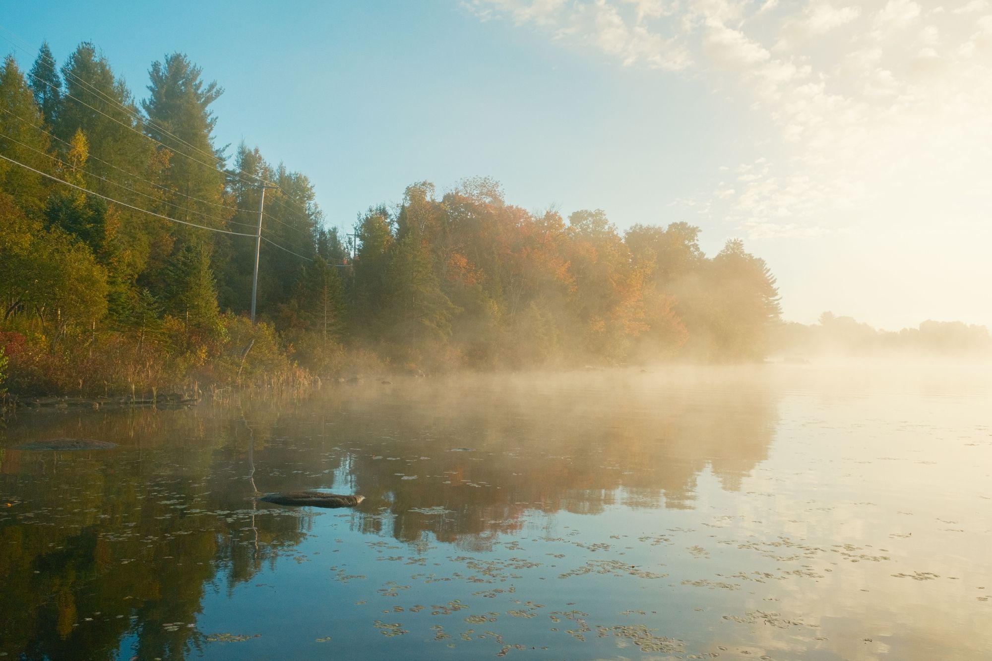 Foggy Autumn Morning, Cranberry Lake