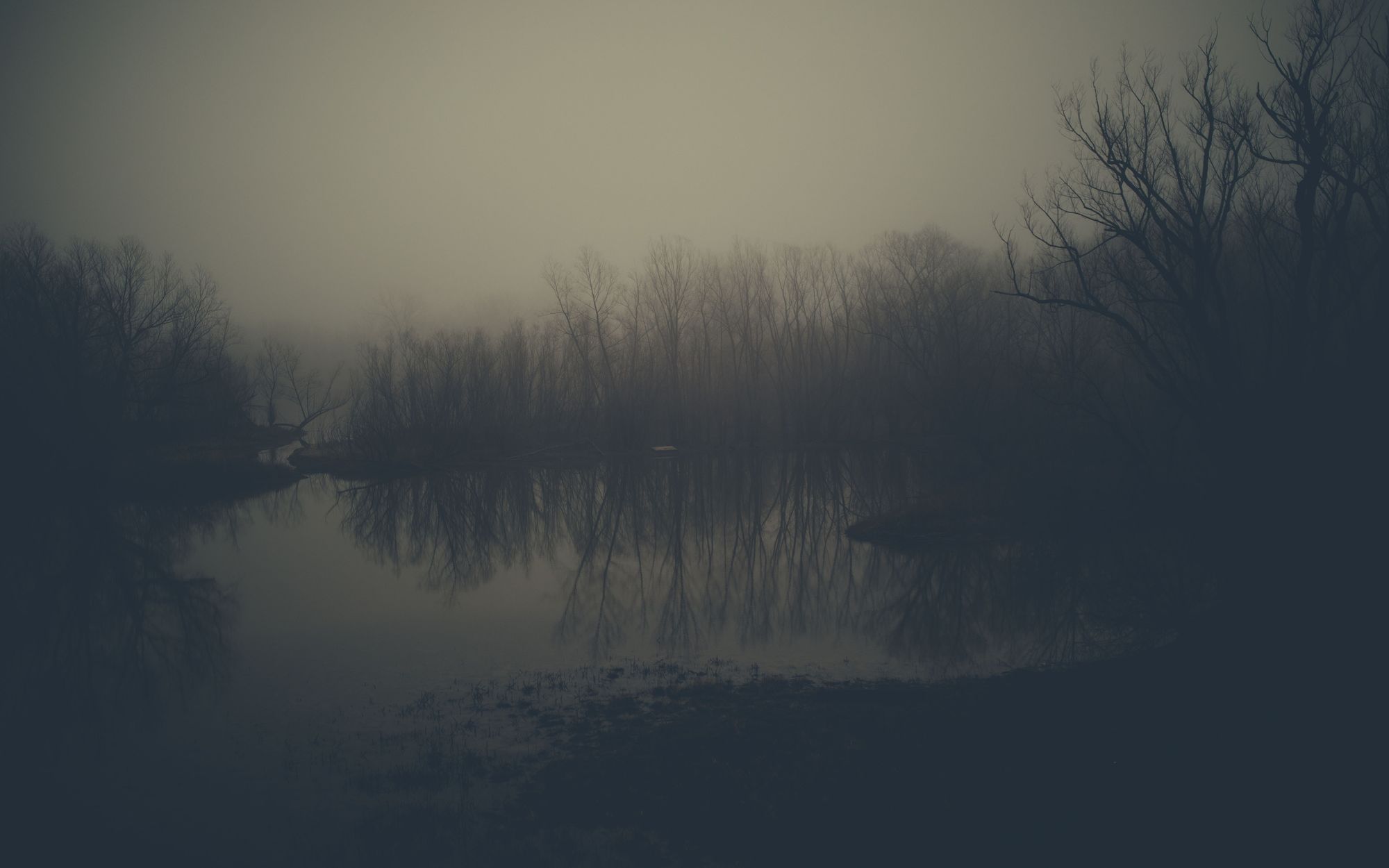 Foggy Morning in Kaskaskia 02