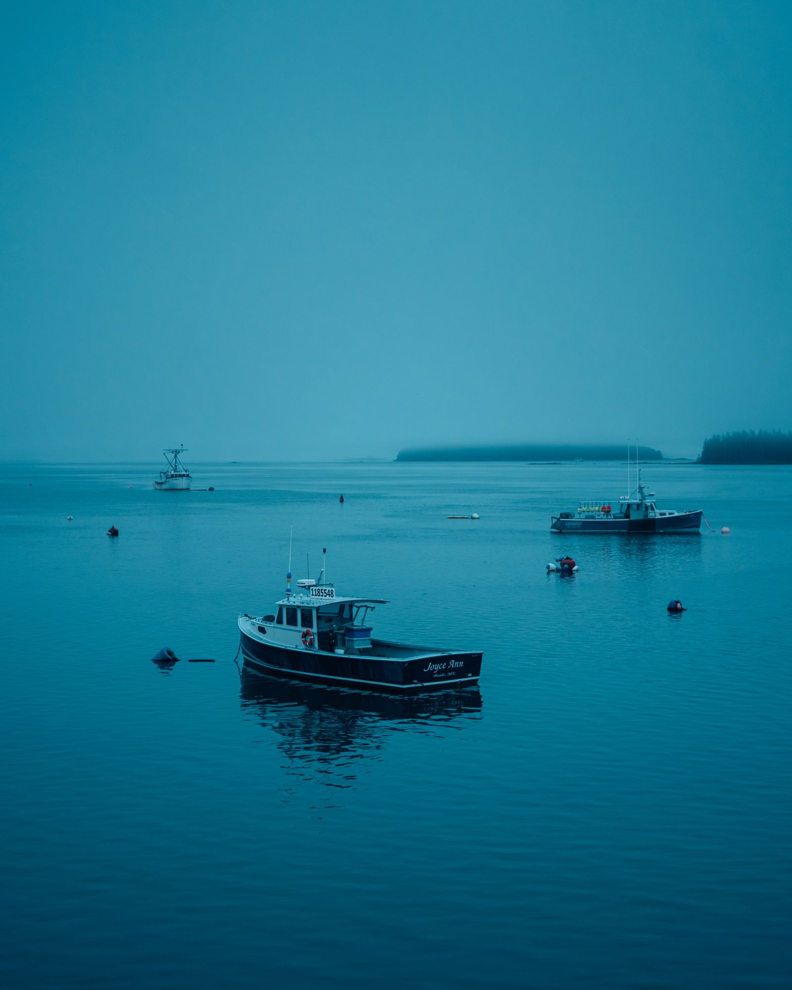 Foggy Night on Beals Island