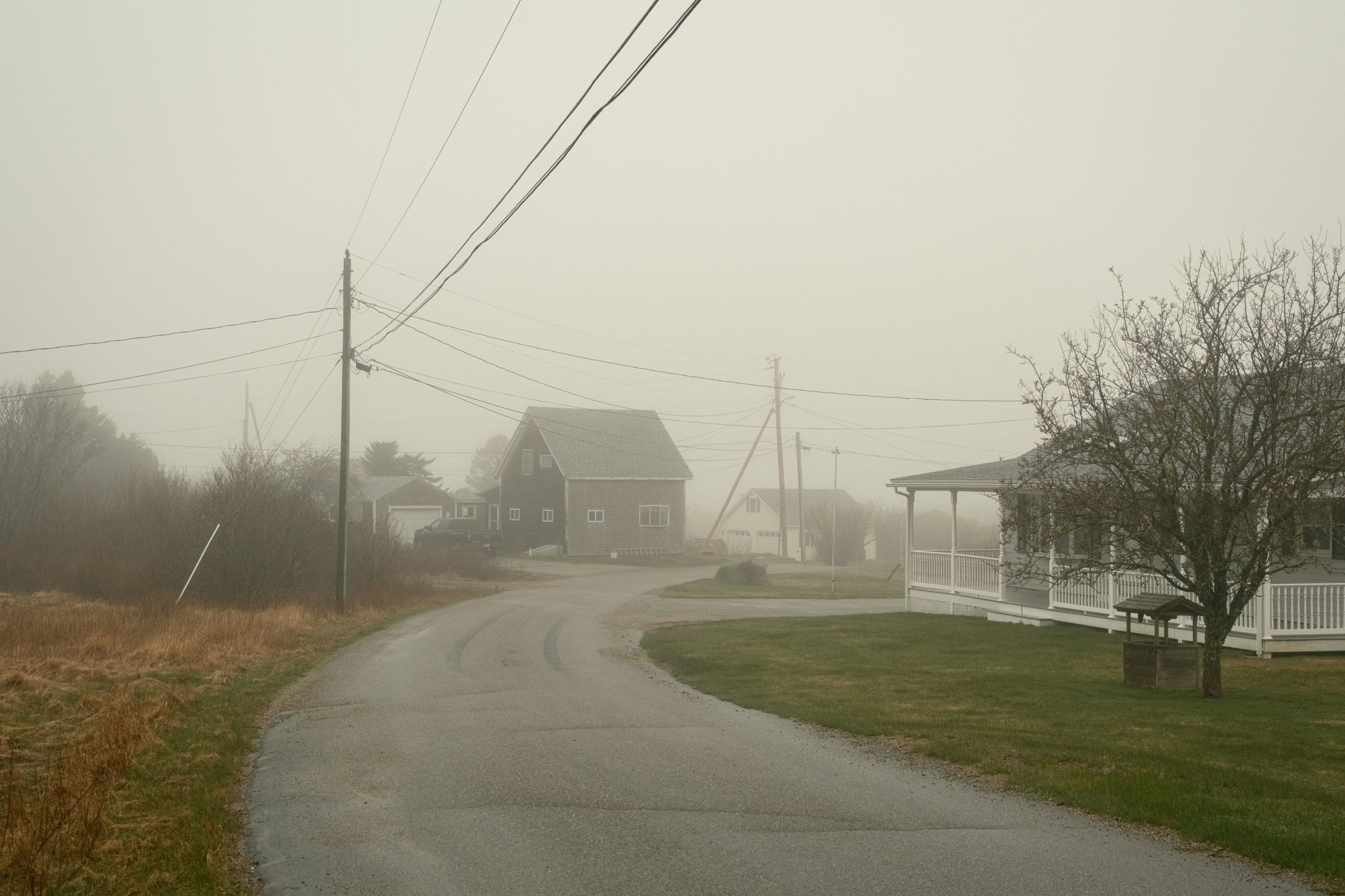 Foggy Road, Beals Island 01