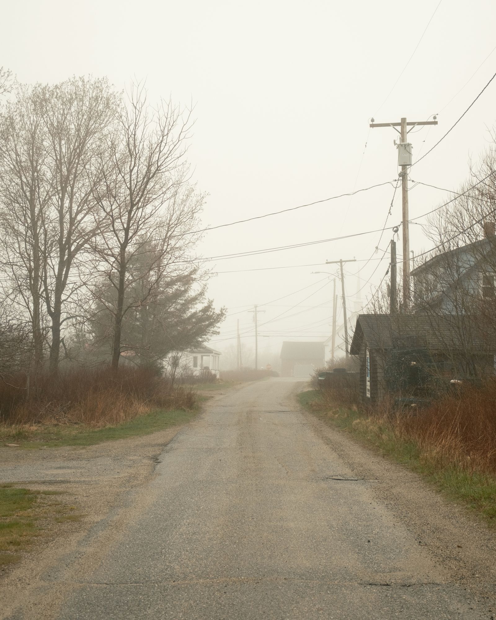Foggy Road, Beals Island 02