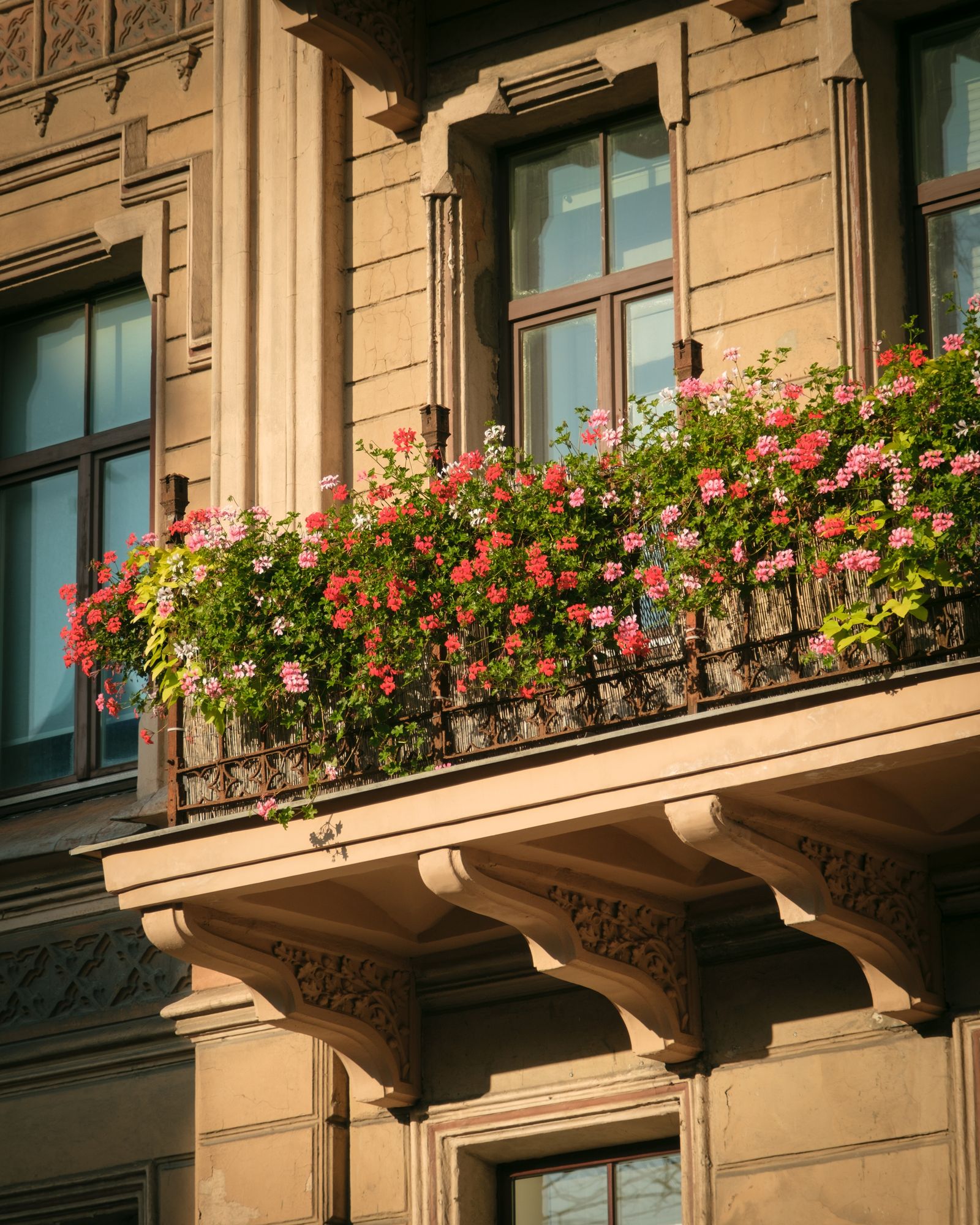 Flowers, Riga