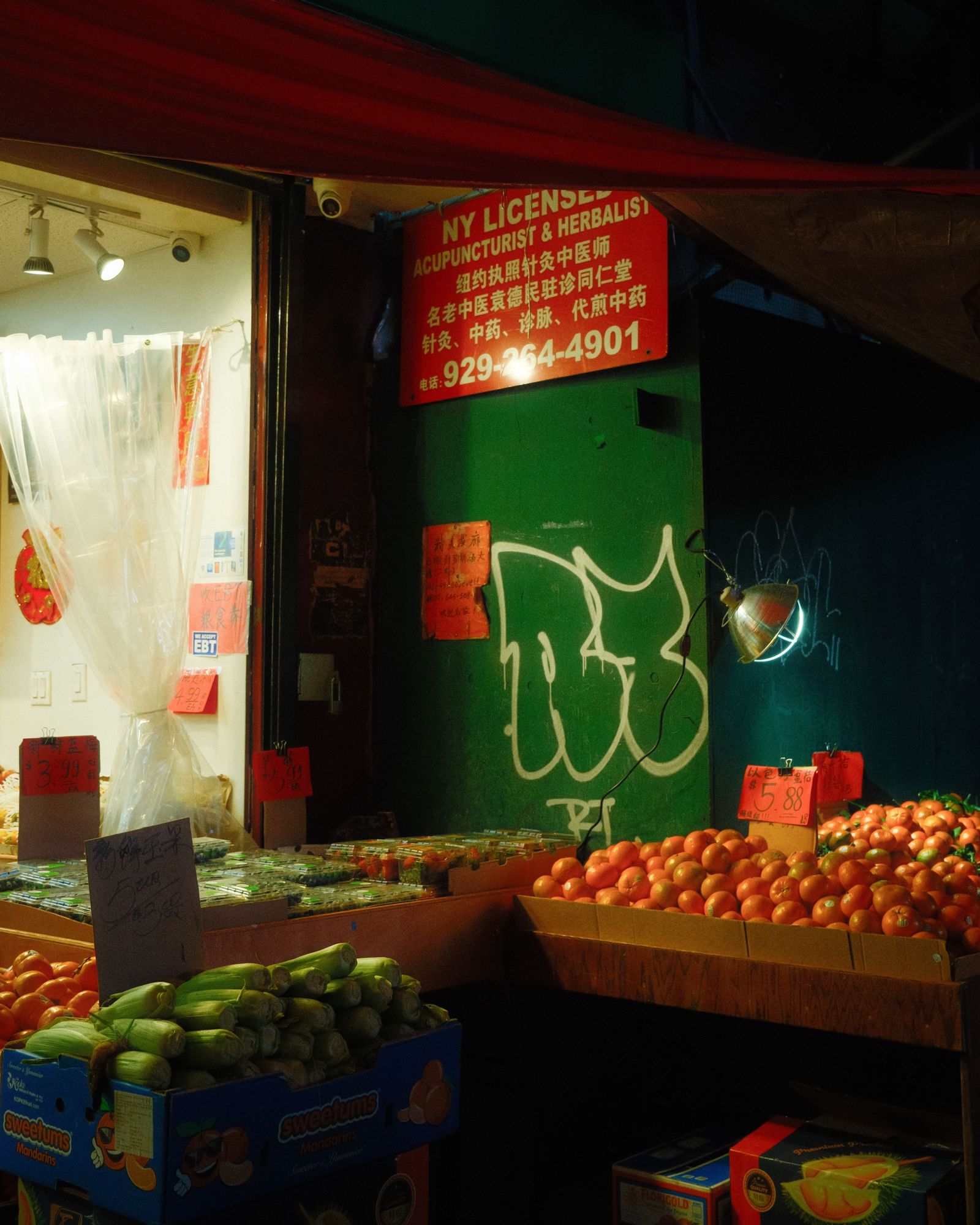 Flushing Grocery