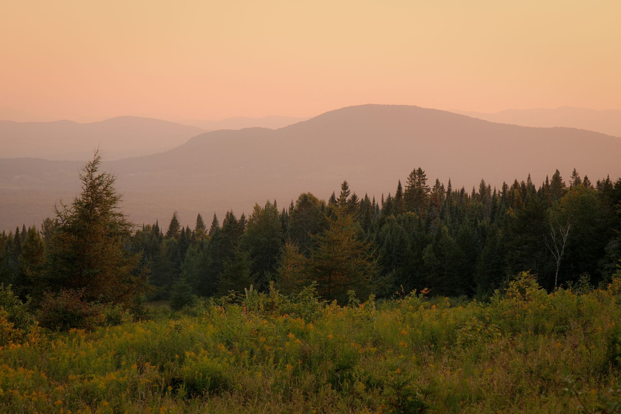 From Sentinel Rock, Westmore 01