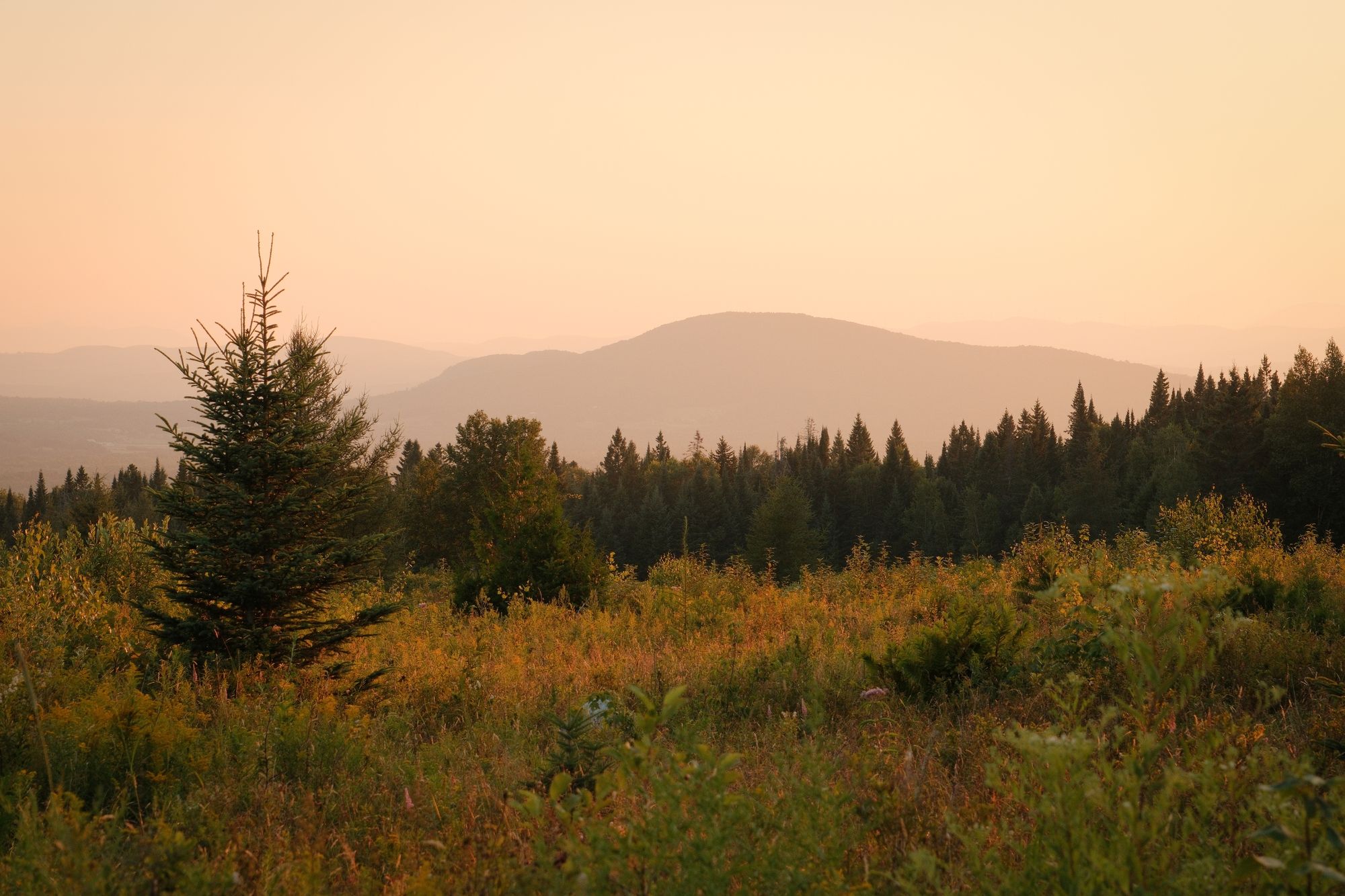 From Sentinel Rock, Westmore 03
