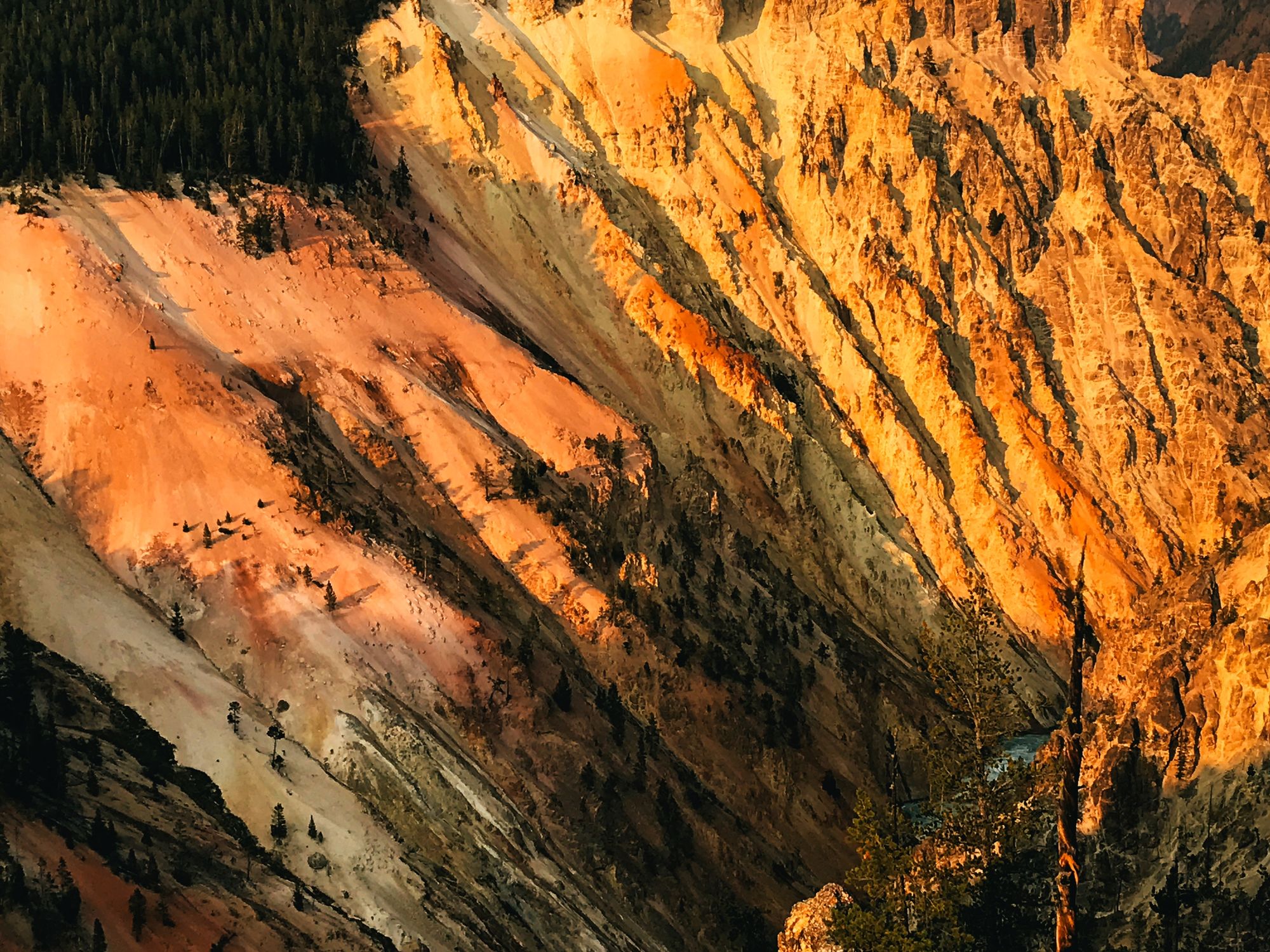 Golden Canyon Hues