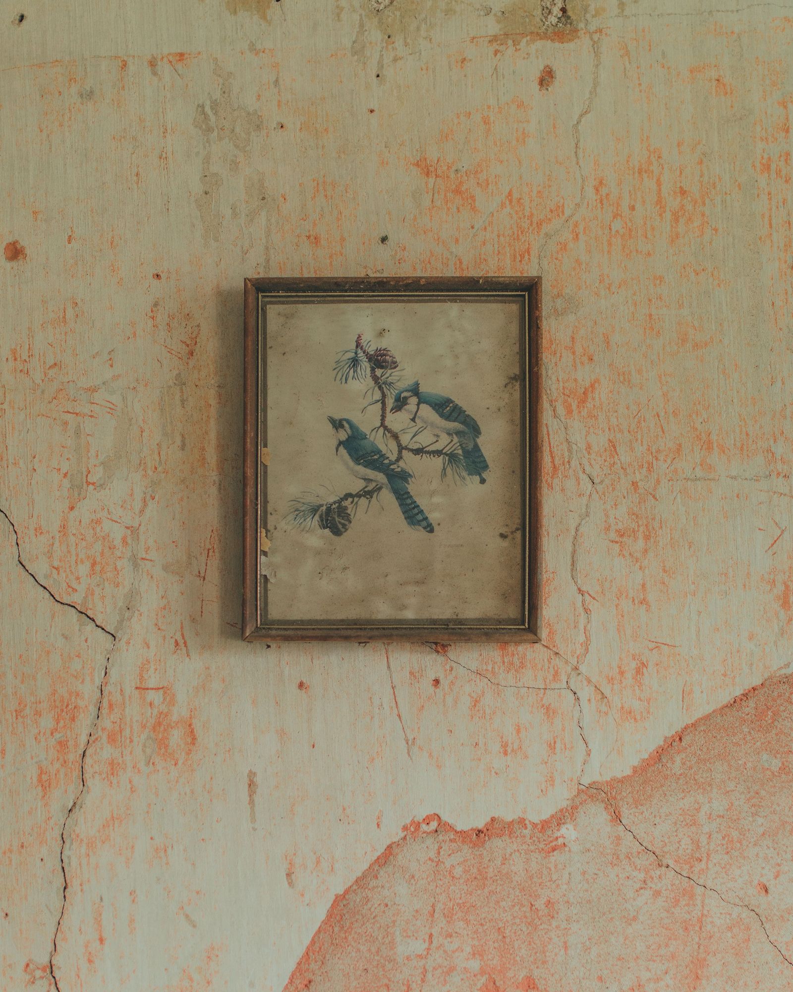 Grace's Archive House 03