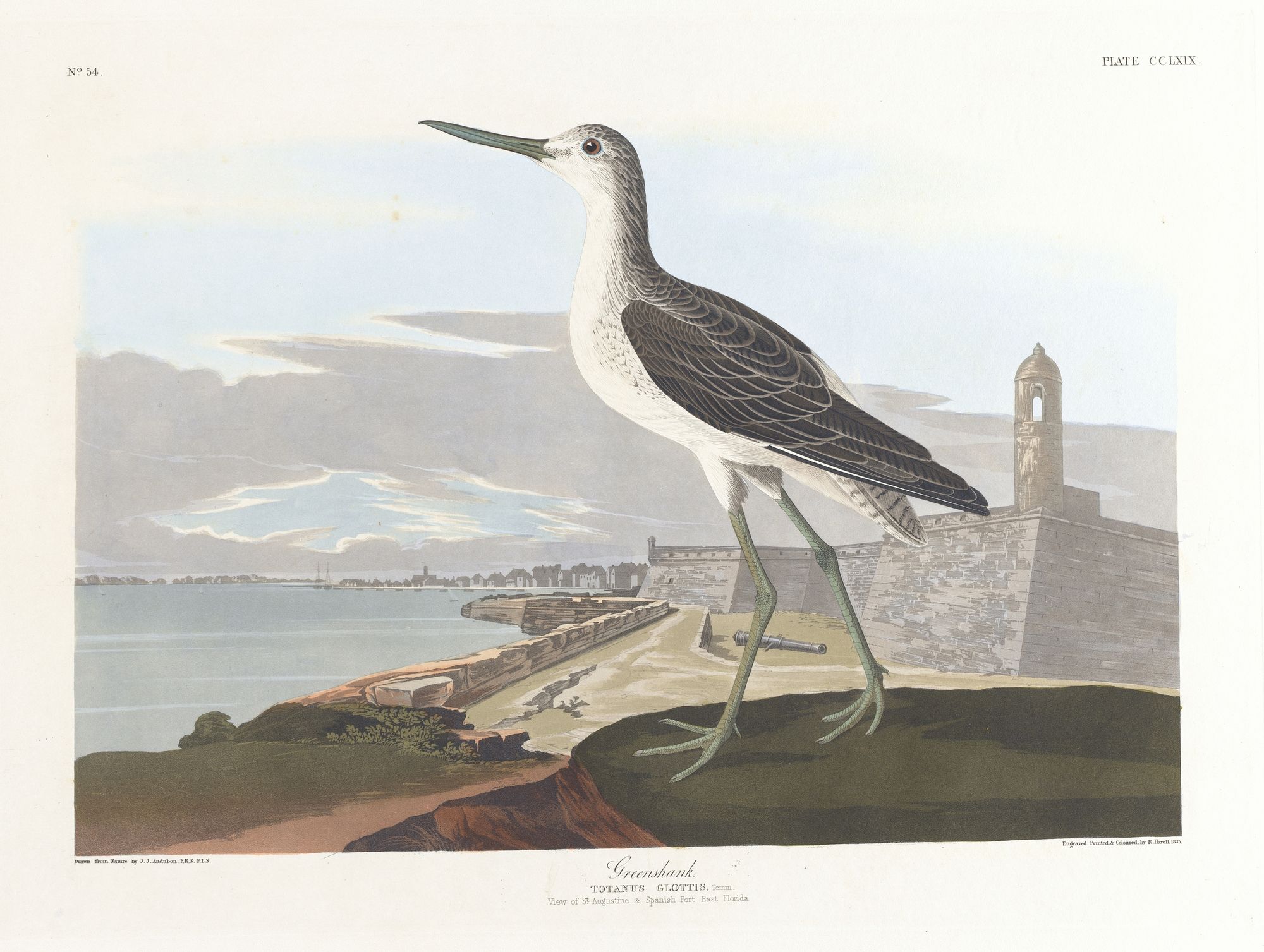 Greenshank (1827–1838)