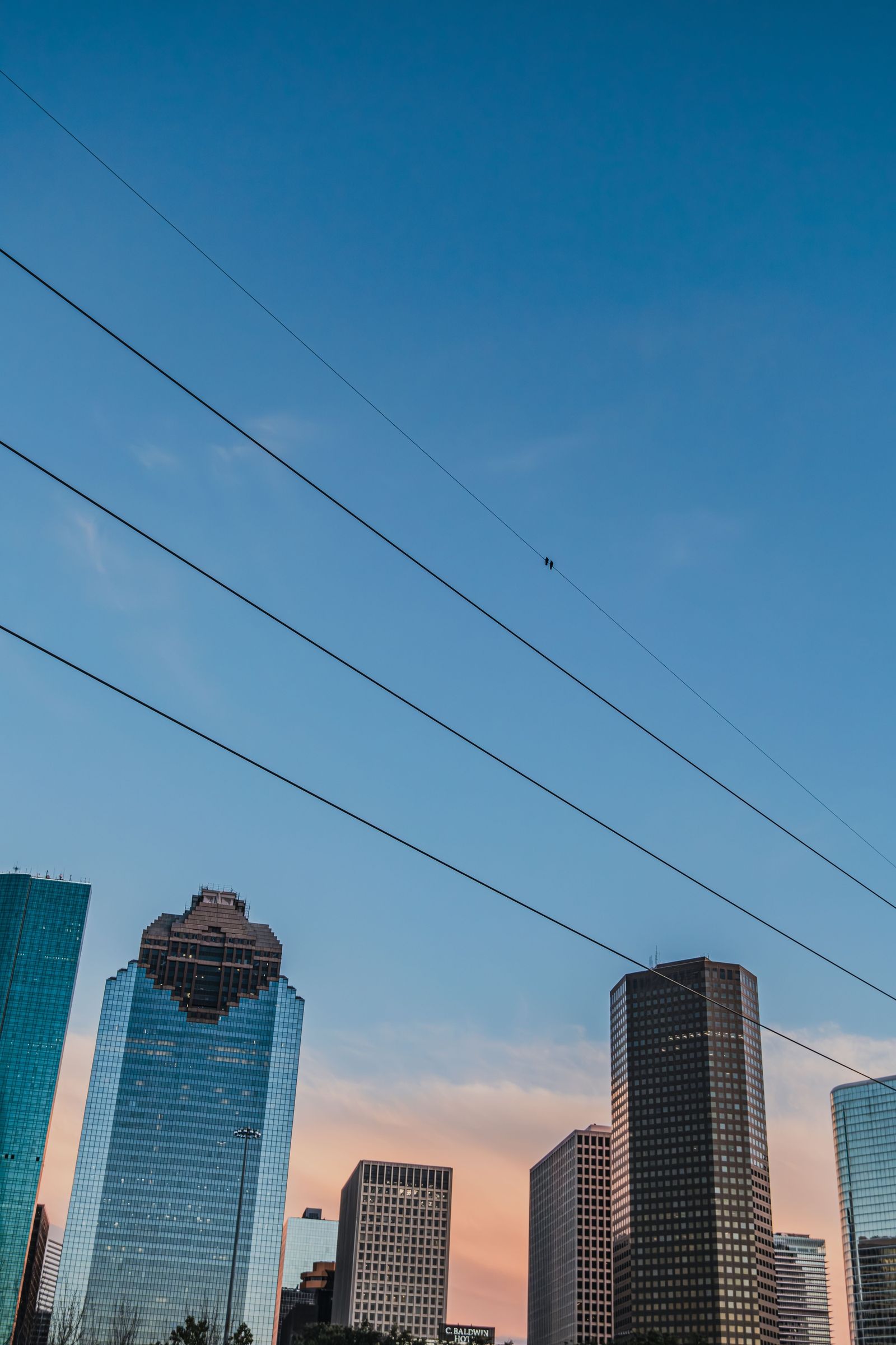 Houston Skyline 2