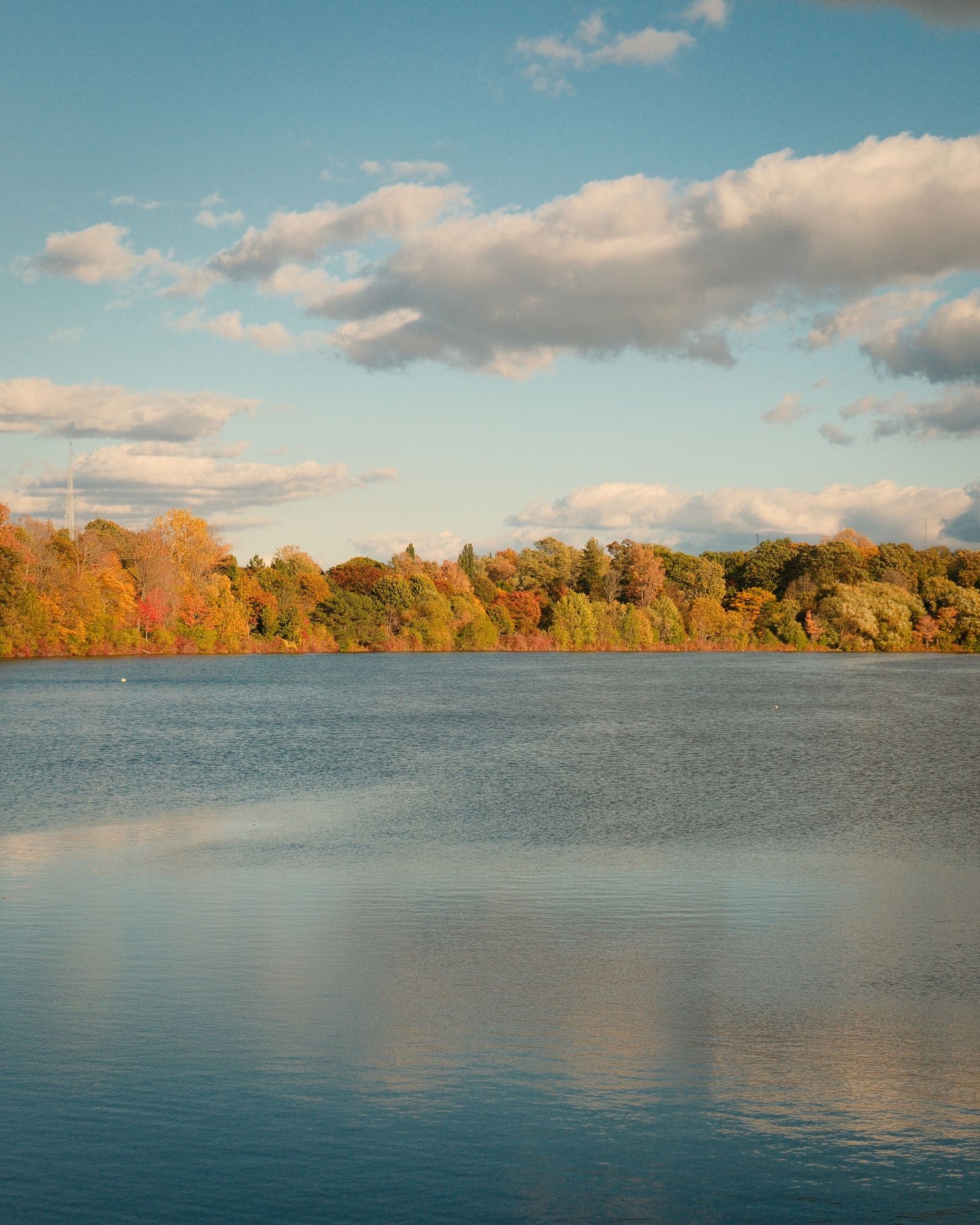 Hoyt Lake in Delaware Park, Buffalo