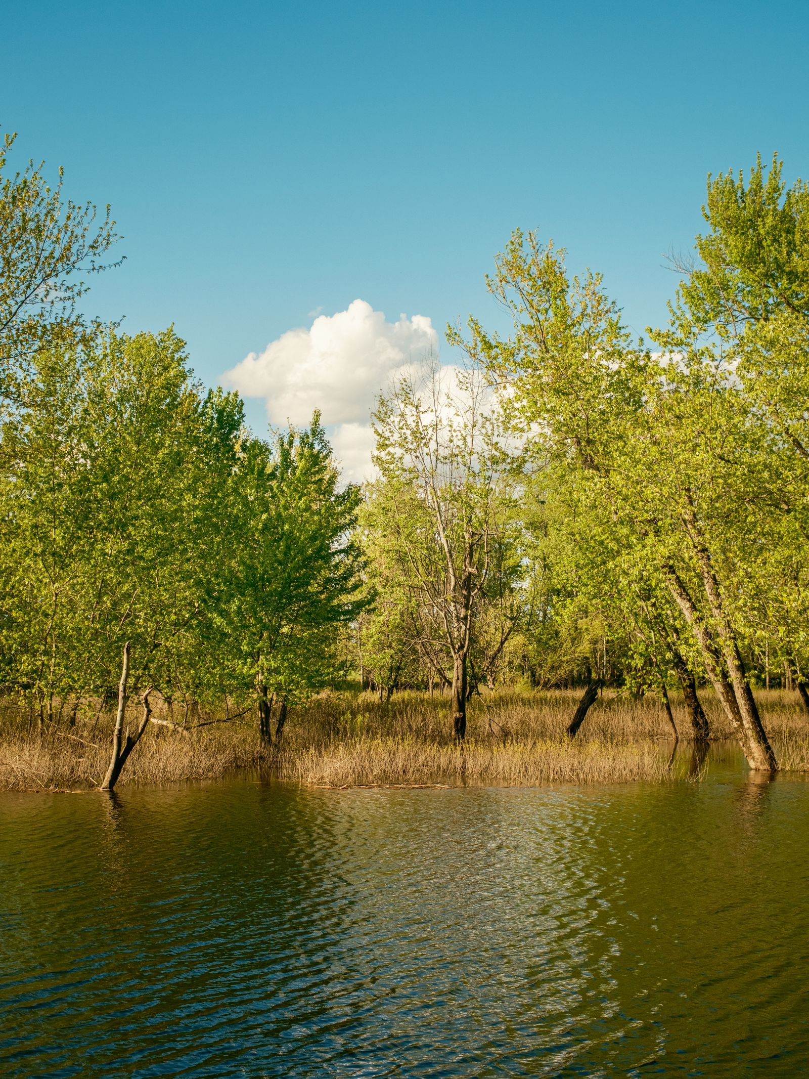 Hulberts Pond, Arcadia Wildlife Sanctuary