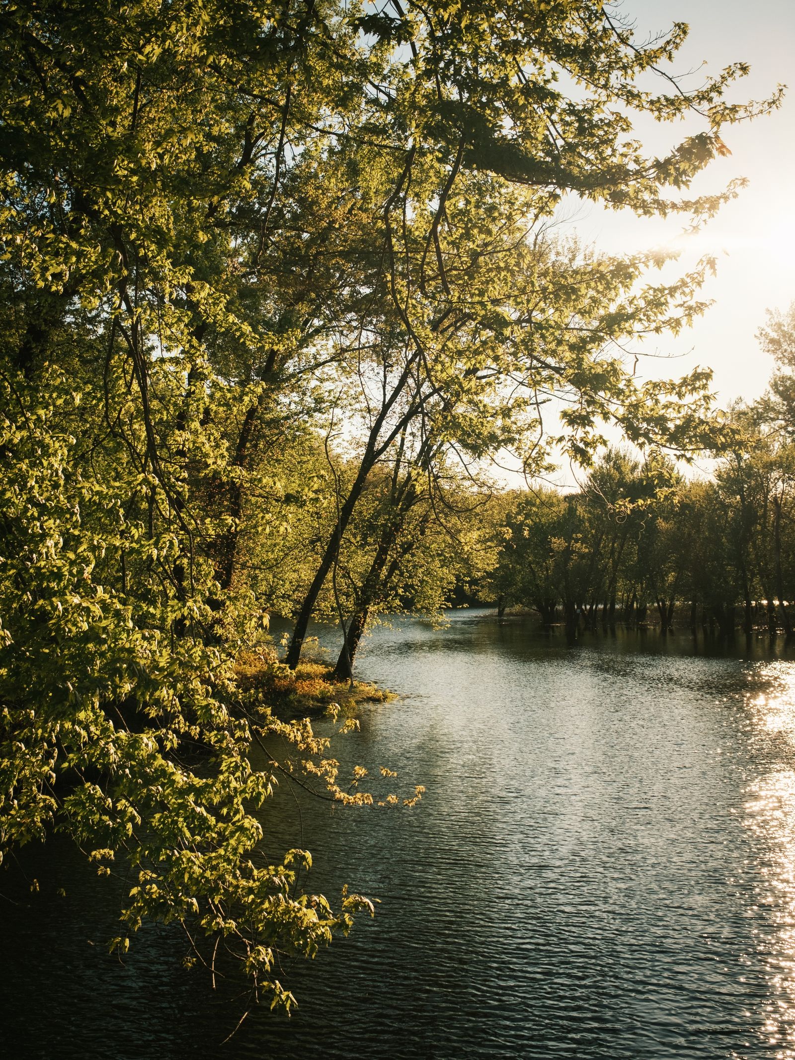 Hulberts Pond at Arcadia, Easthampton