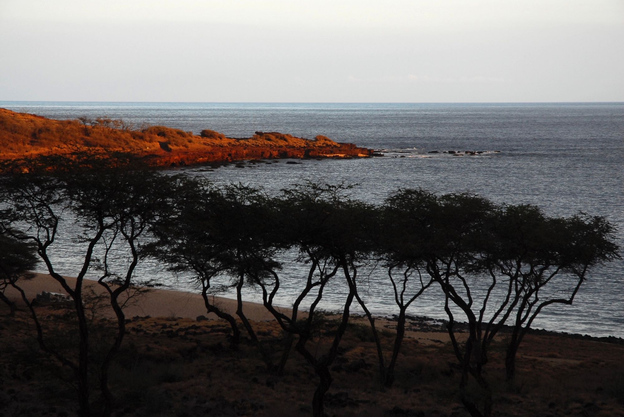 Hulope Beach Late Afternoon, Lanai