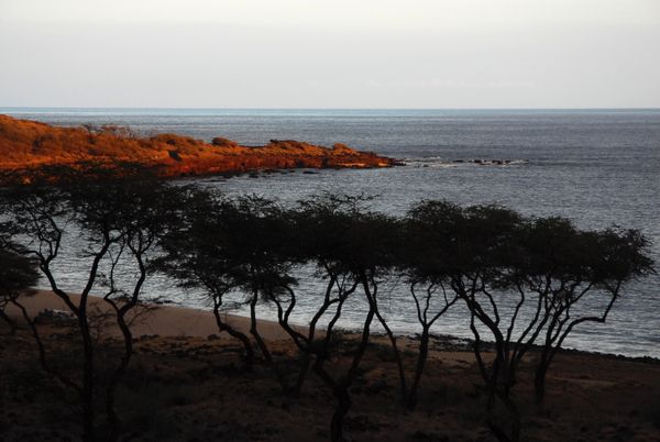 Hawaii Nature and Landscape 