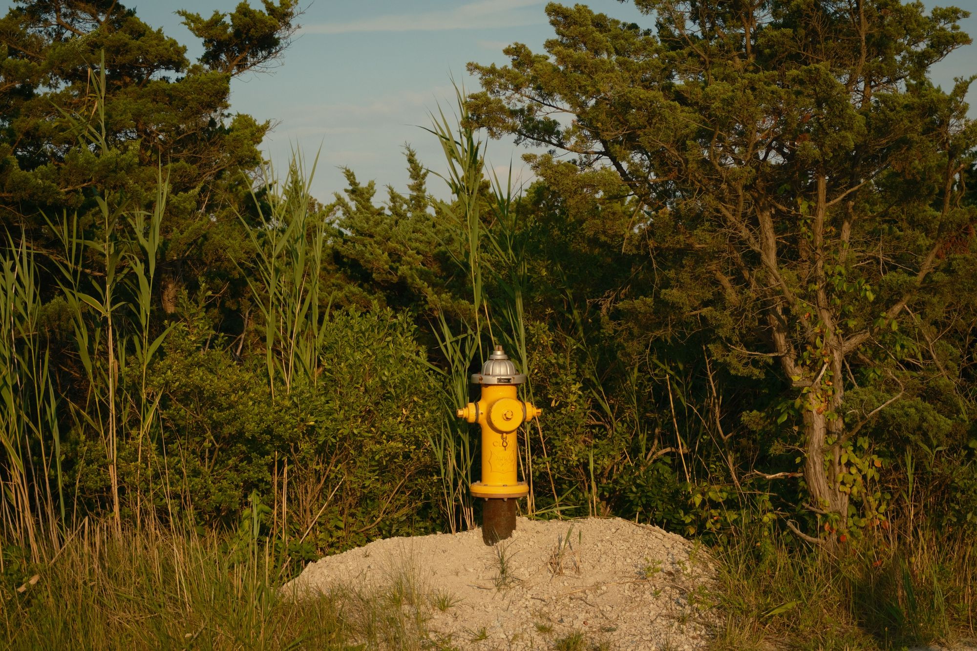 Hydrant, Fire Island