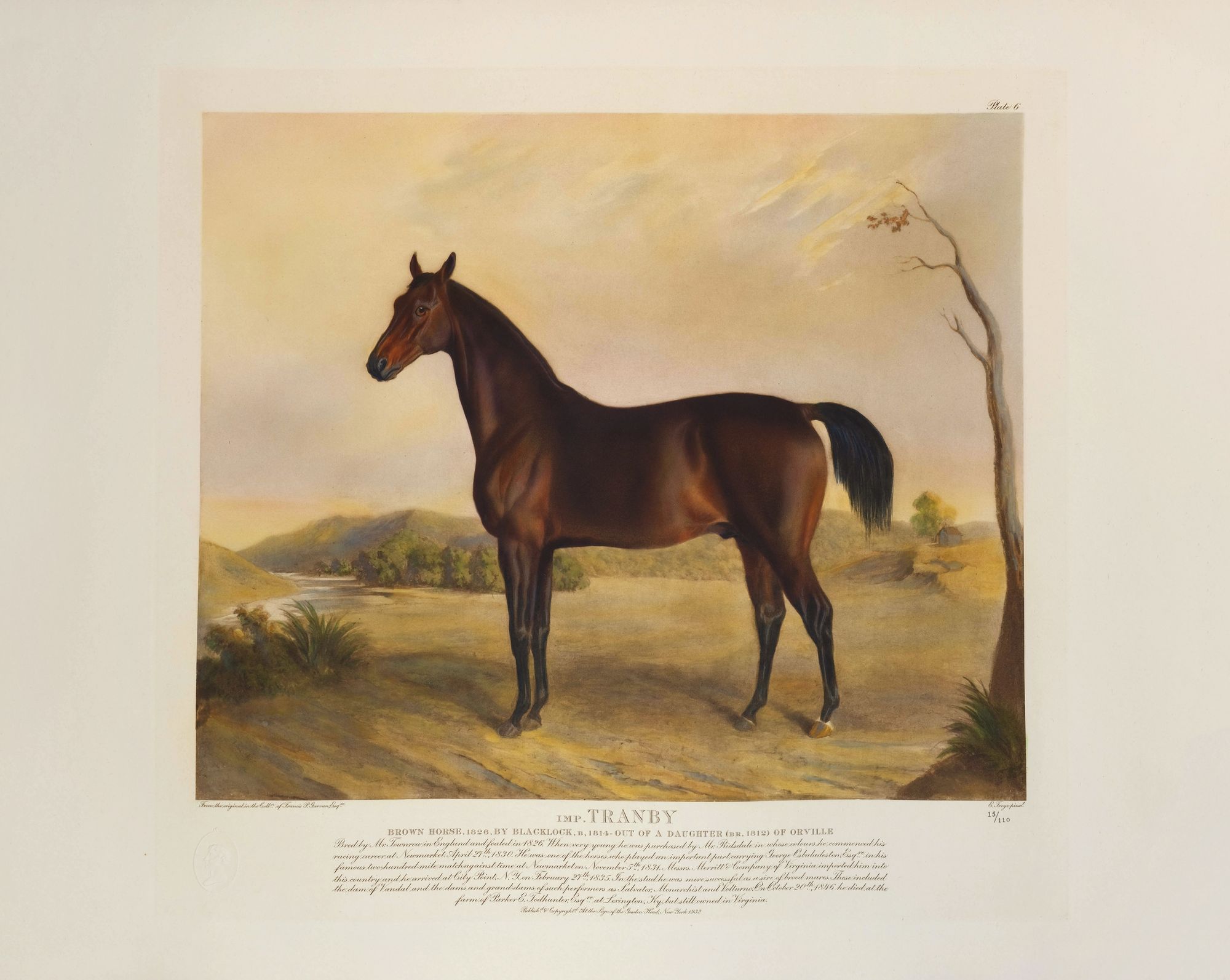 Imp. Tranby (1932)