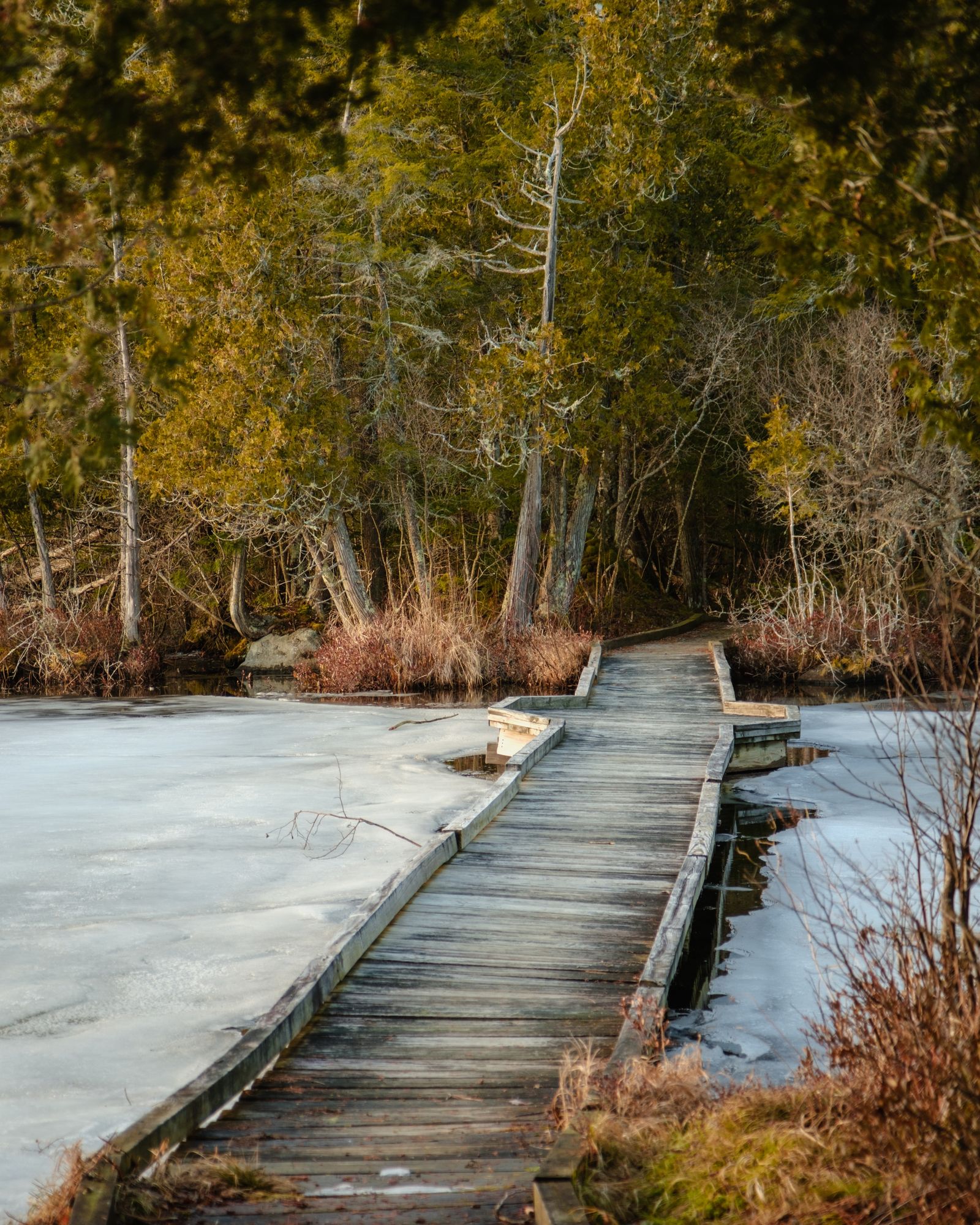 Indian Carry Boardwalk