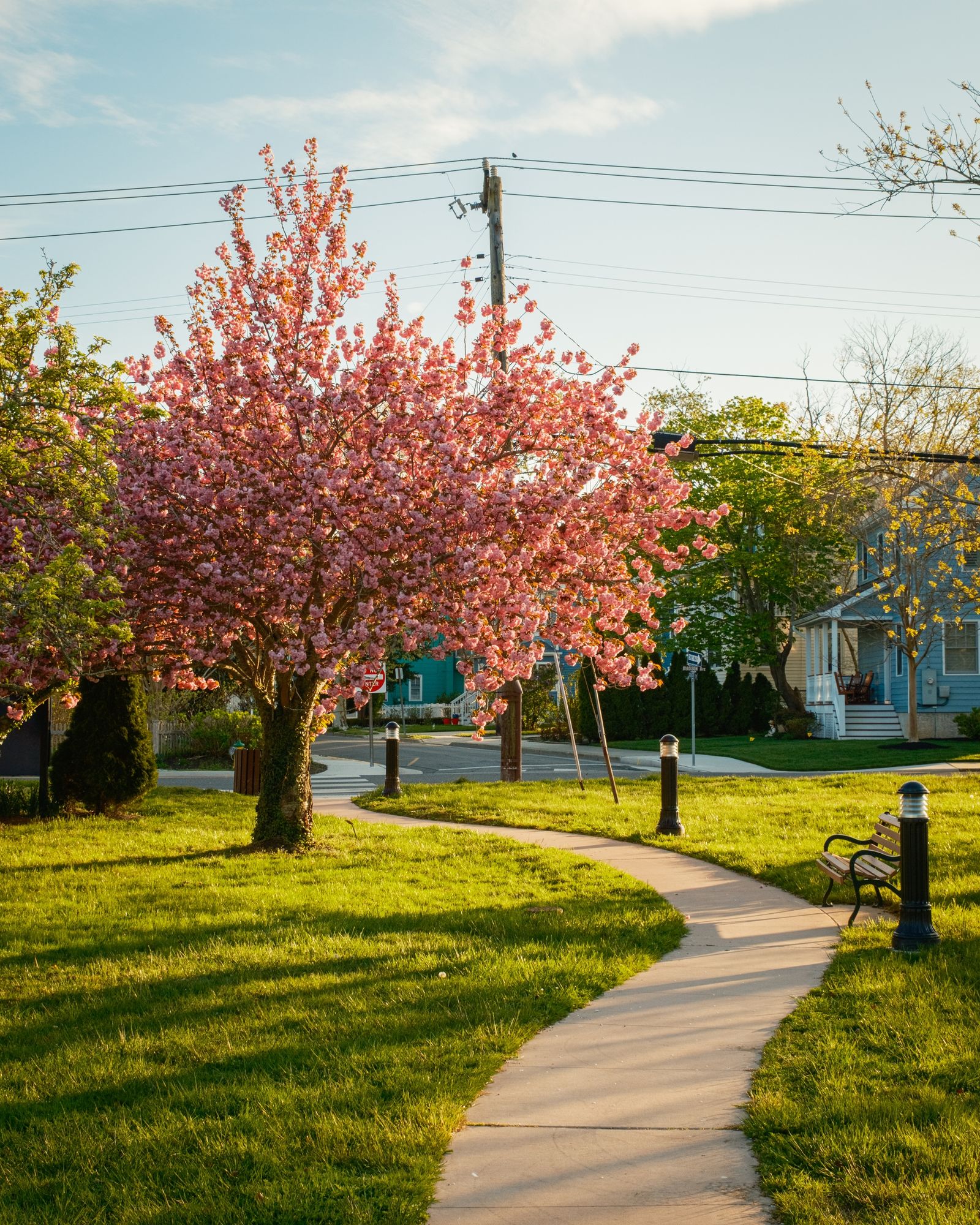 Kiwanis Park, Cape May 02