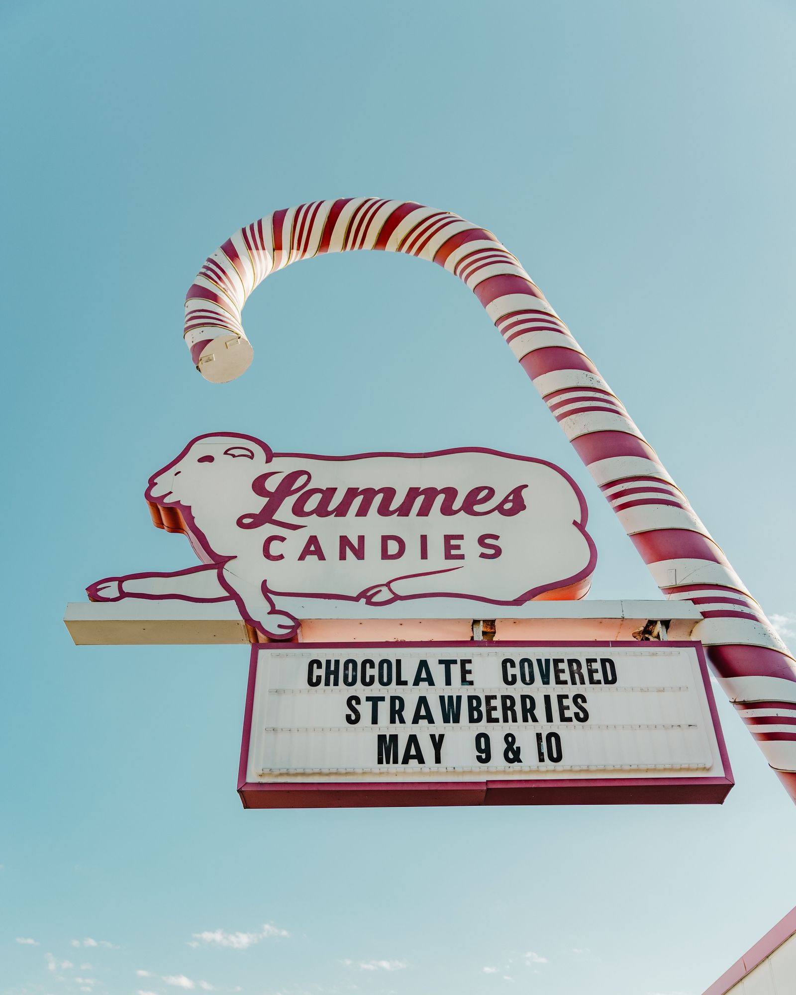Lammes Candies 01