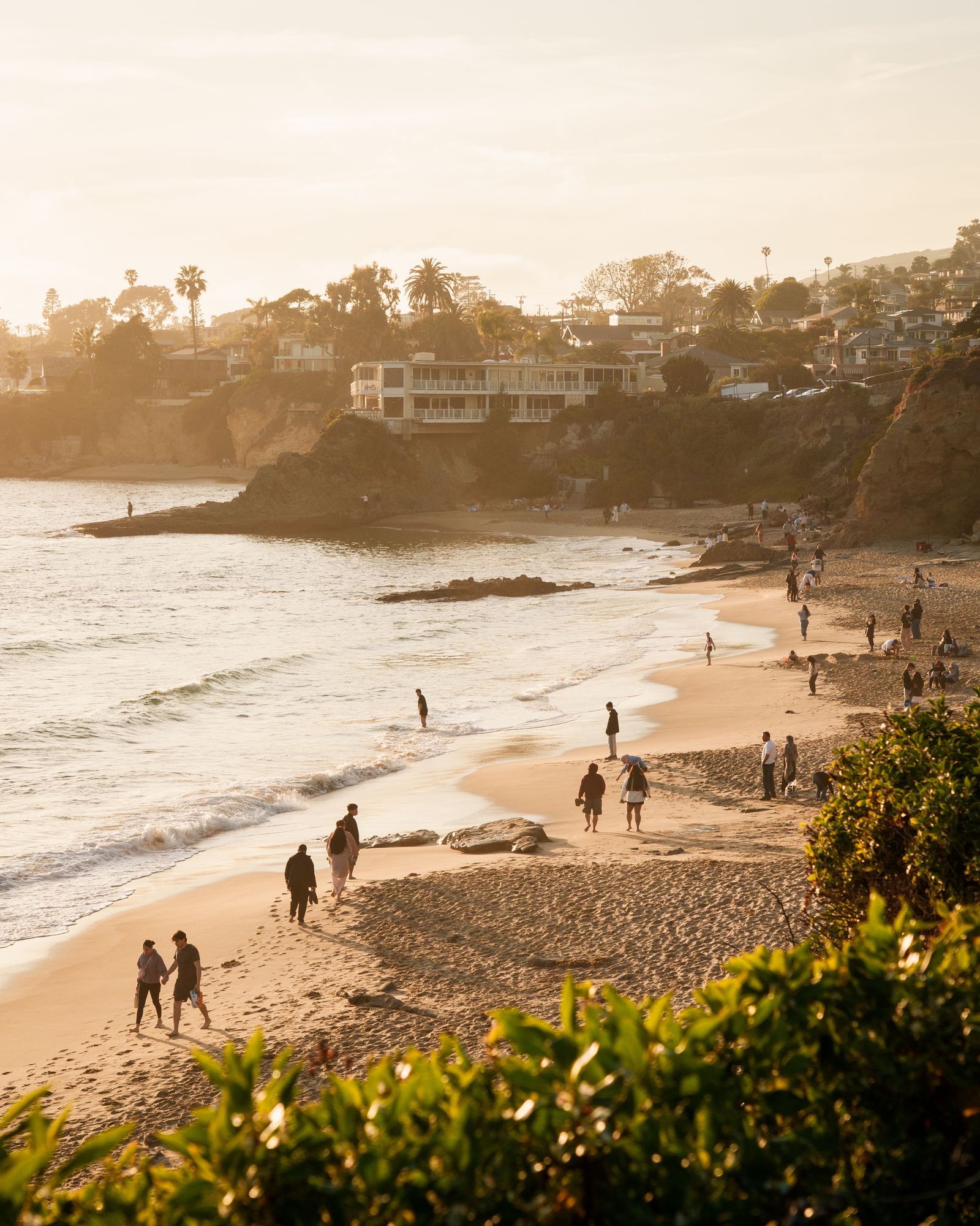 Laguna Beach Coastal