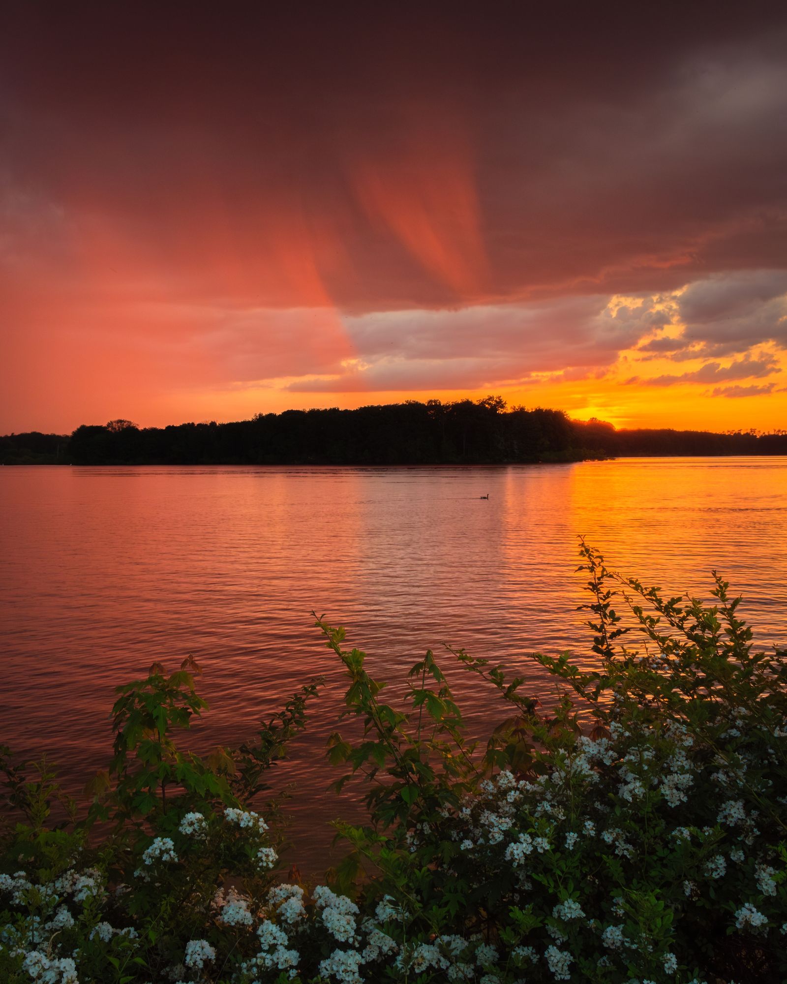 Lake Marburg Sunset, Codorus State Park