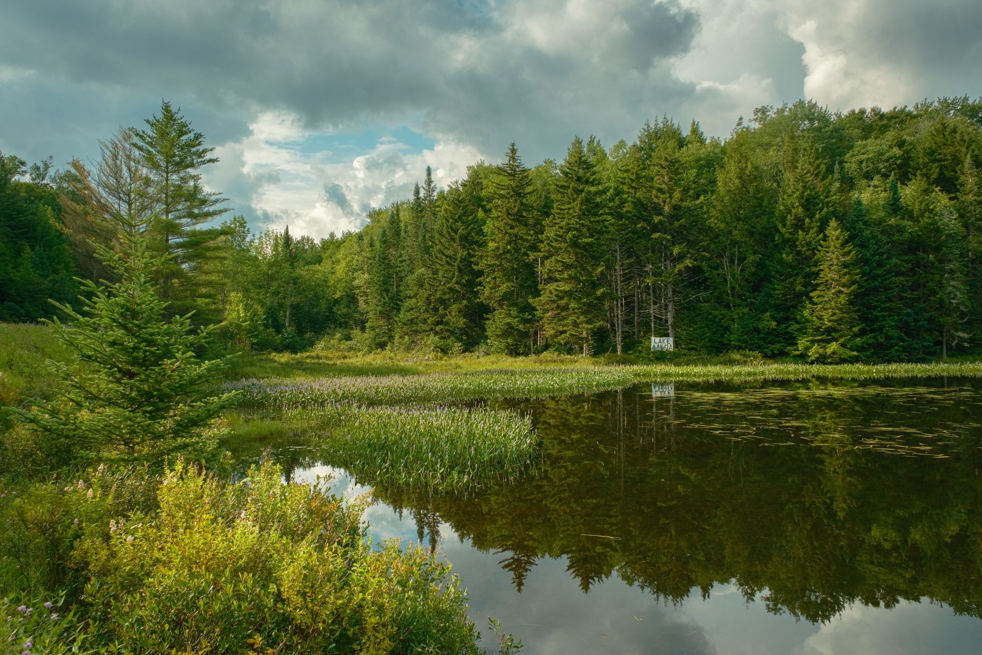 Lake Alma, Averys Place 03