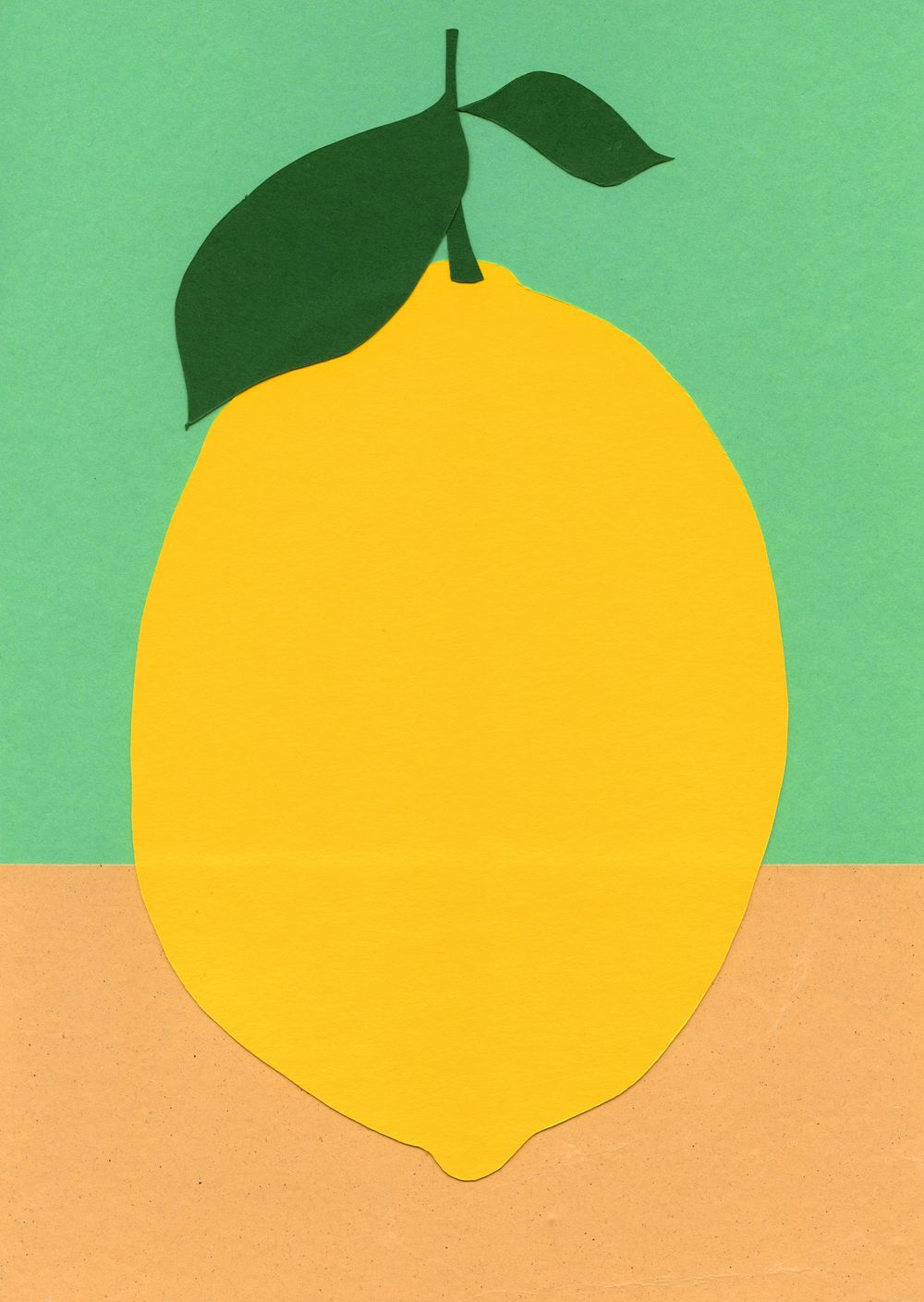 lemon-framer-gallery-framed-wall-art-prints